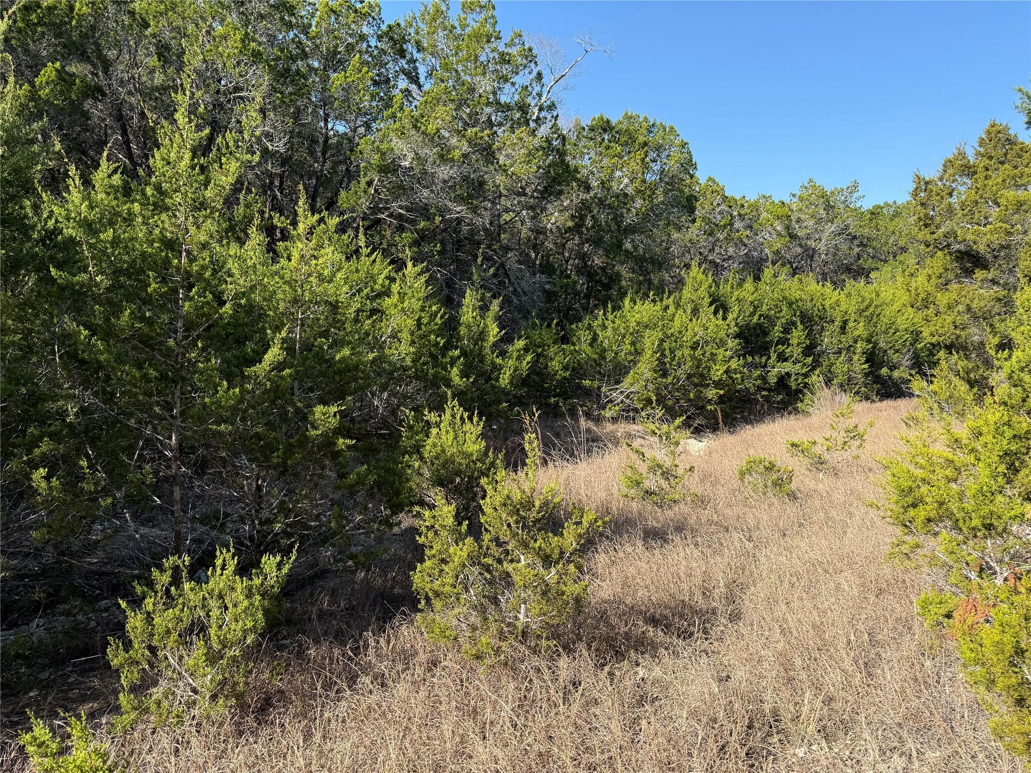 248 Kellog, Fischer, TX 78623