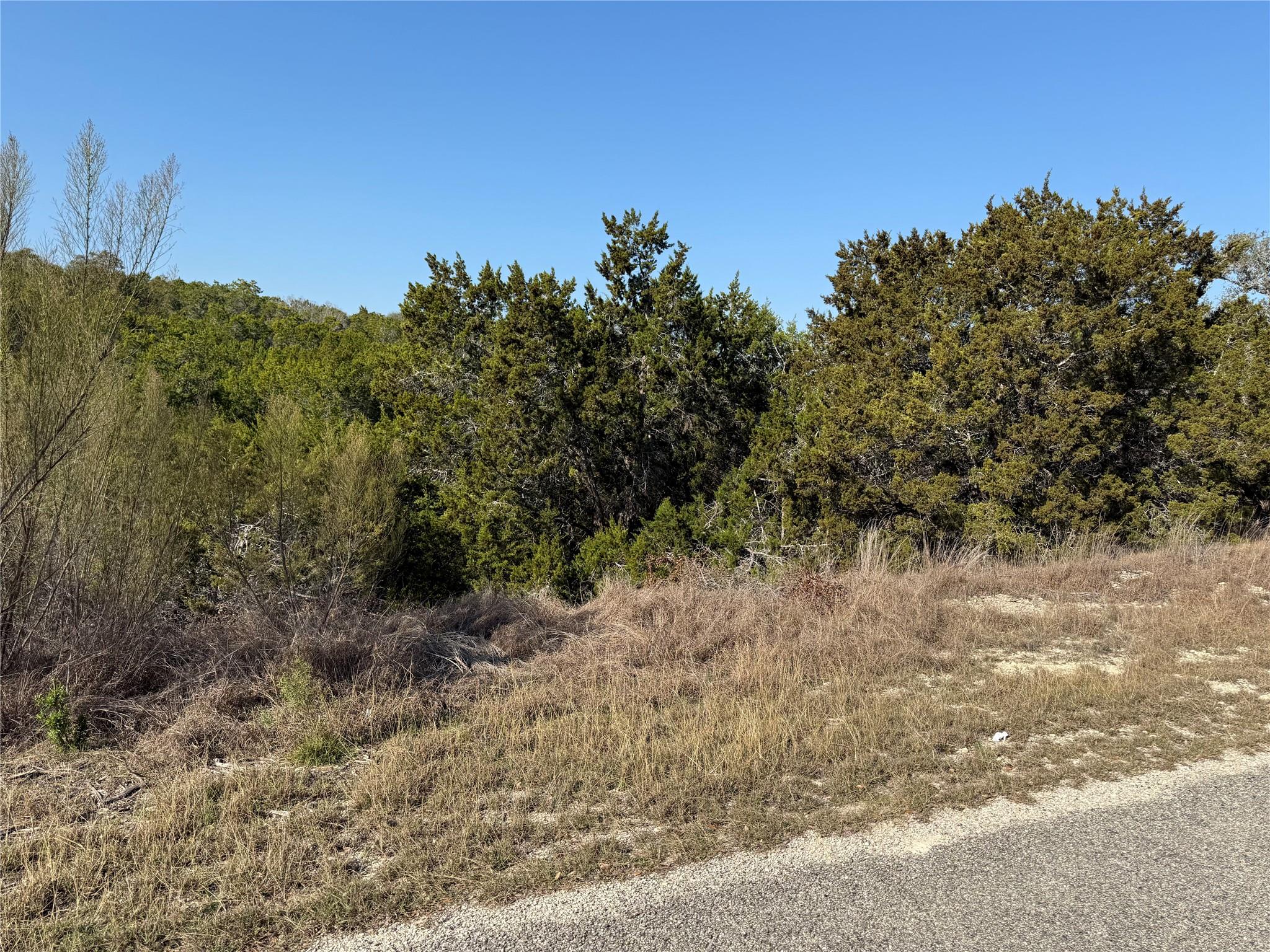 248 Kellog, Fischer, TX 78623