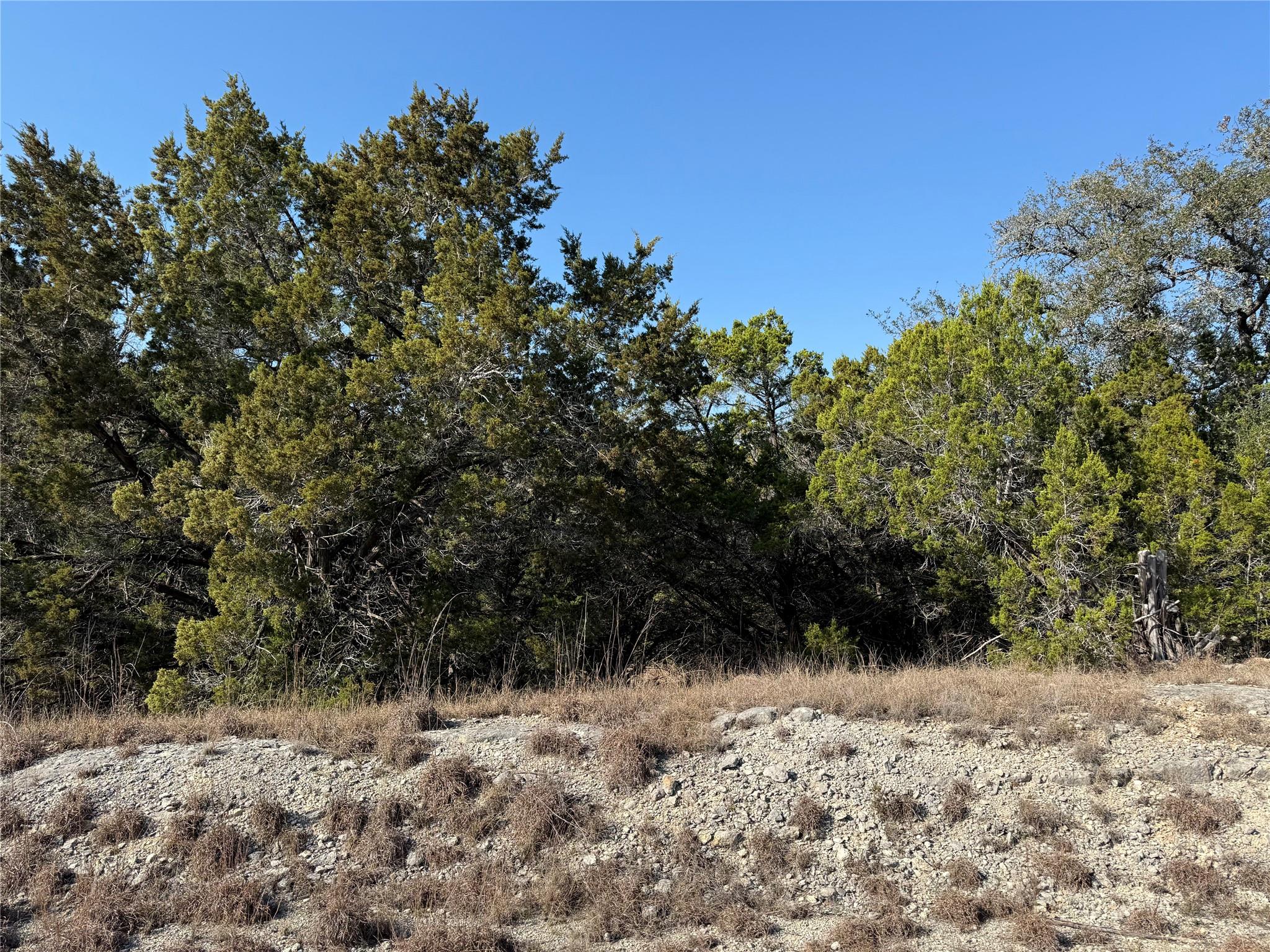 248 Kellog, Fischer, TX 78623