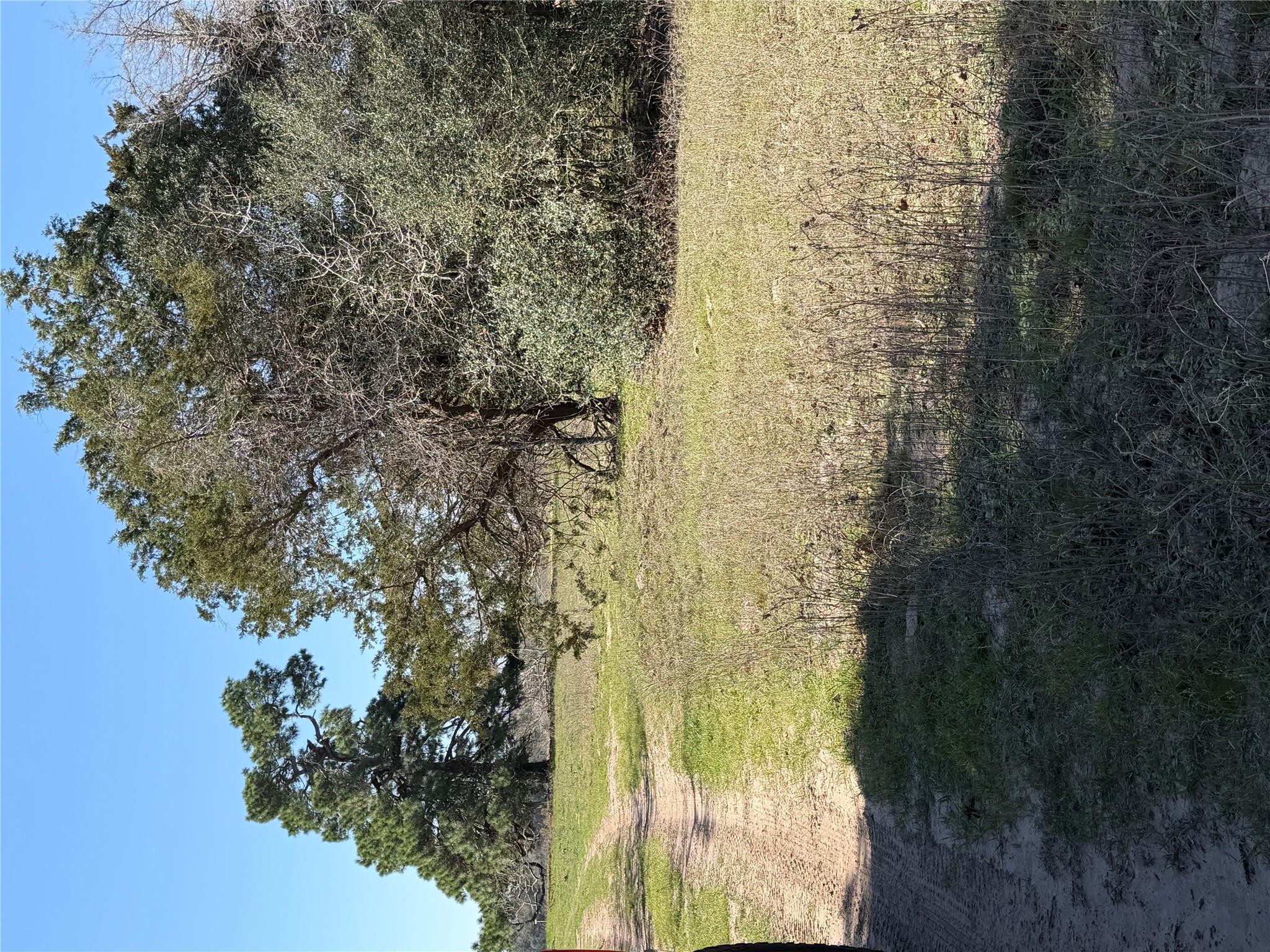 TBD Cedar Rock Rd, Rosanky, TX 78953