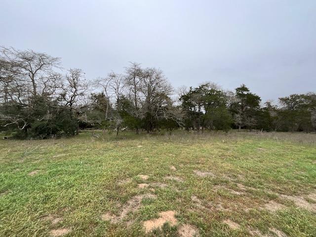 TBD Cedar Rock Rd, Rosanky, TX 78953