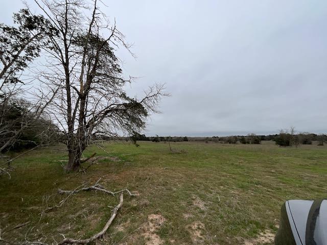 TBD Cedar Rock Rd, Rosanky, TX 78953