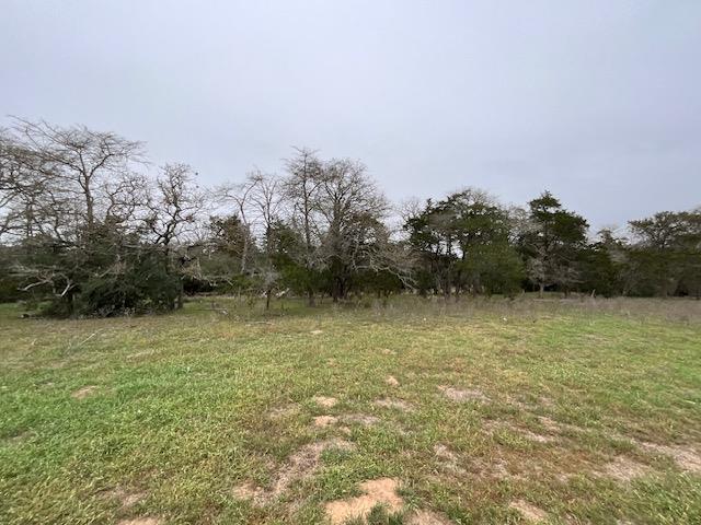 TBD Cedar Rock Rd, Rosanky, TX 78953