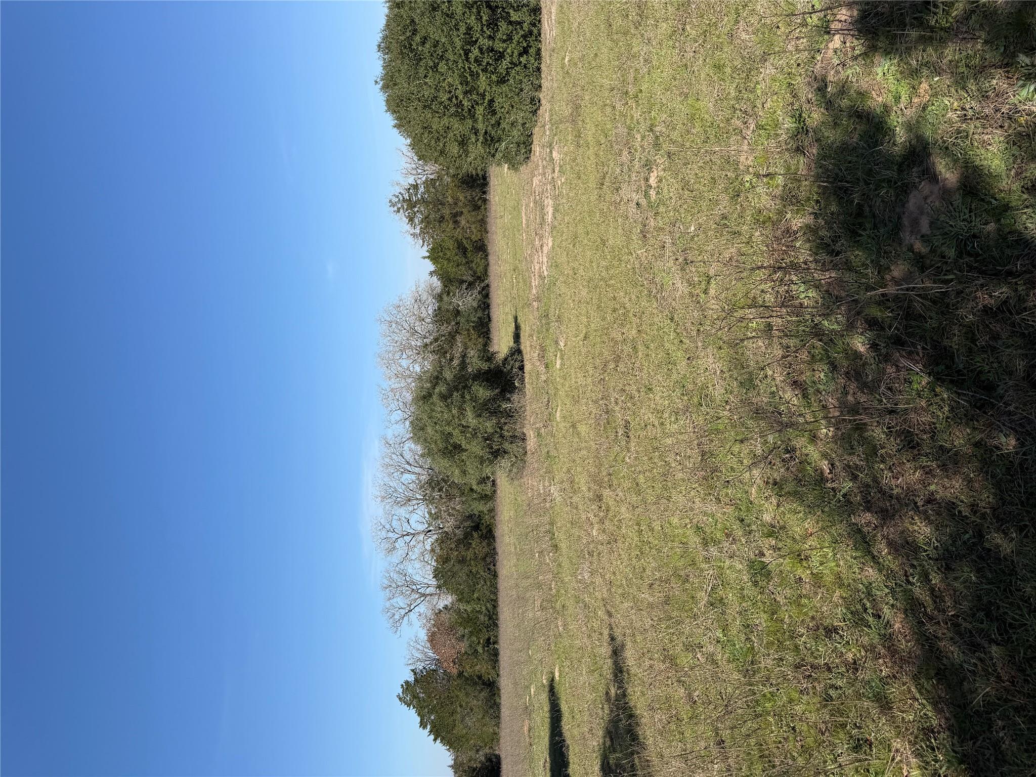 TBD Cedar Rock Rd, Rosanky, TX 78953