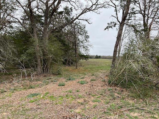 TBD Cedar Rock Rd, Rosanky, TX 78953