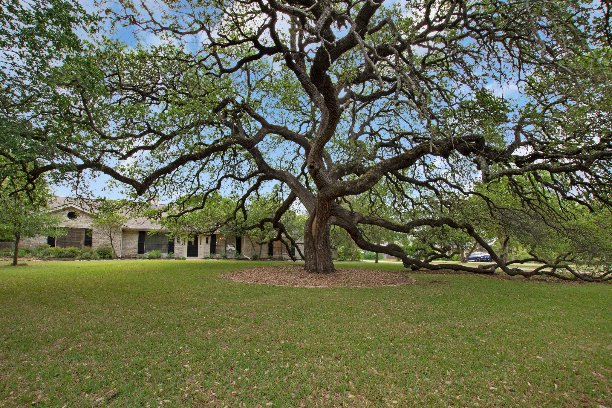 3006 Fox Hollow St, Round Rock, TX 78681