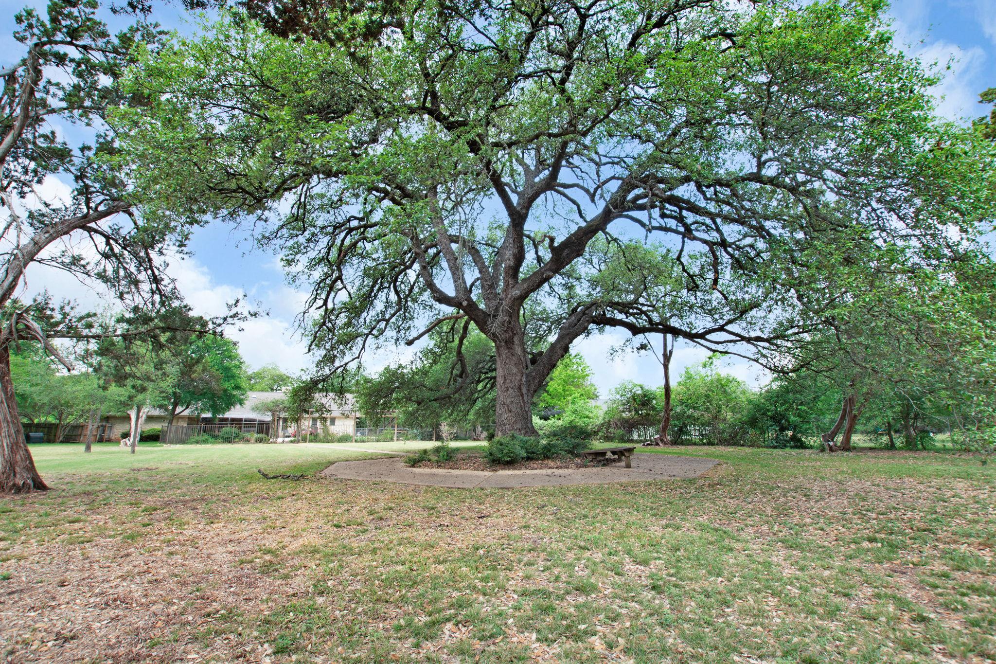 3006 Fox Hollow St, Round Rock, TX 78681