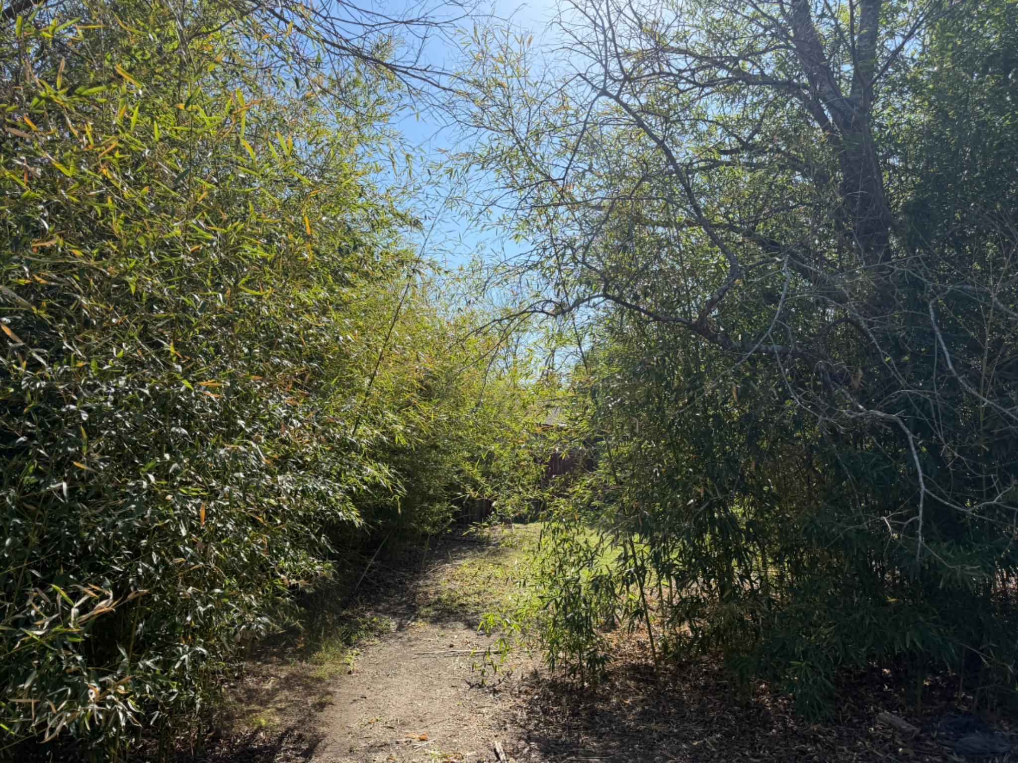 113 Royal St, Taylor, TX 76574