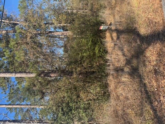 Montgomery, TX 77356