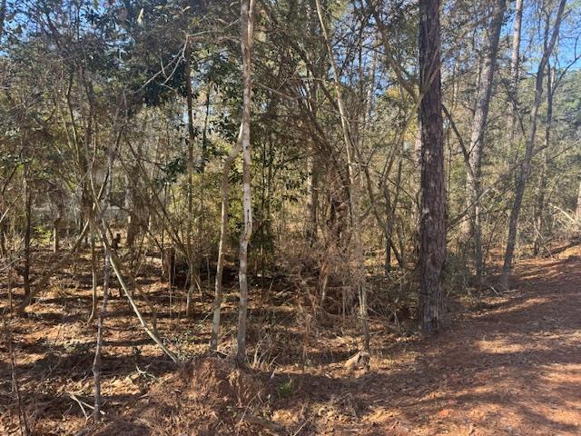 Montgomery, TX 77356