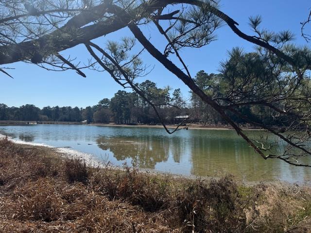 Montgomery, TX 77356