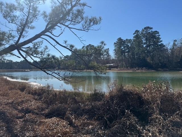 Montgomery, TX 77356