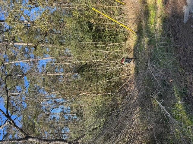 Montgomery, TX 77356