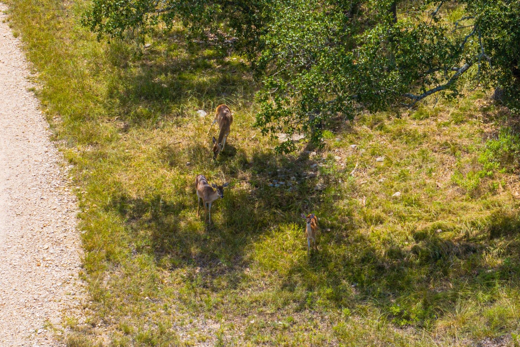 6477 S 783 Rnch, Harper, TX 78631