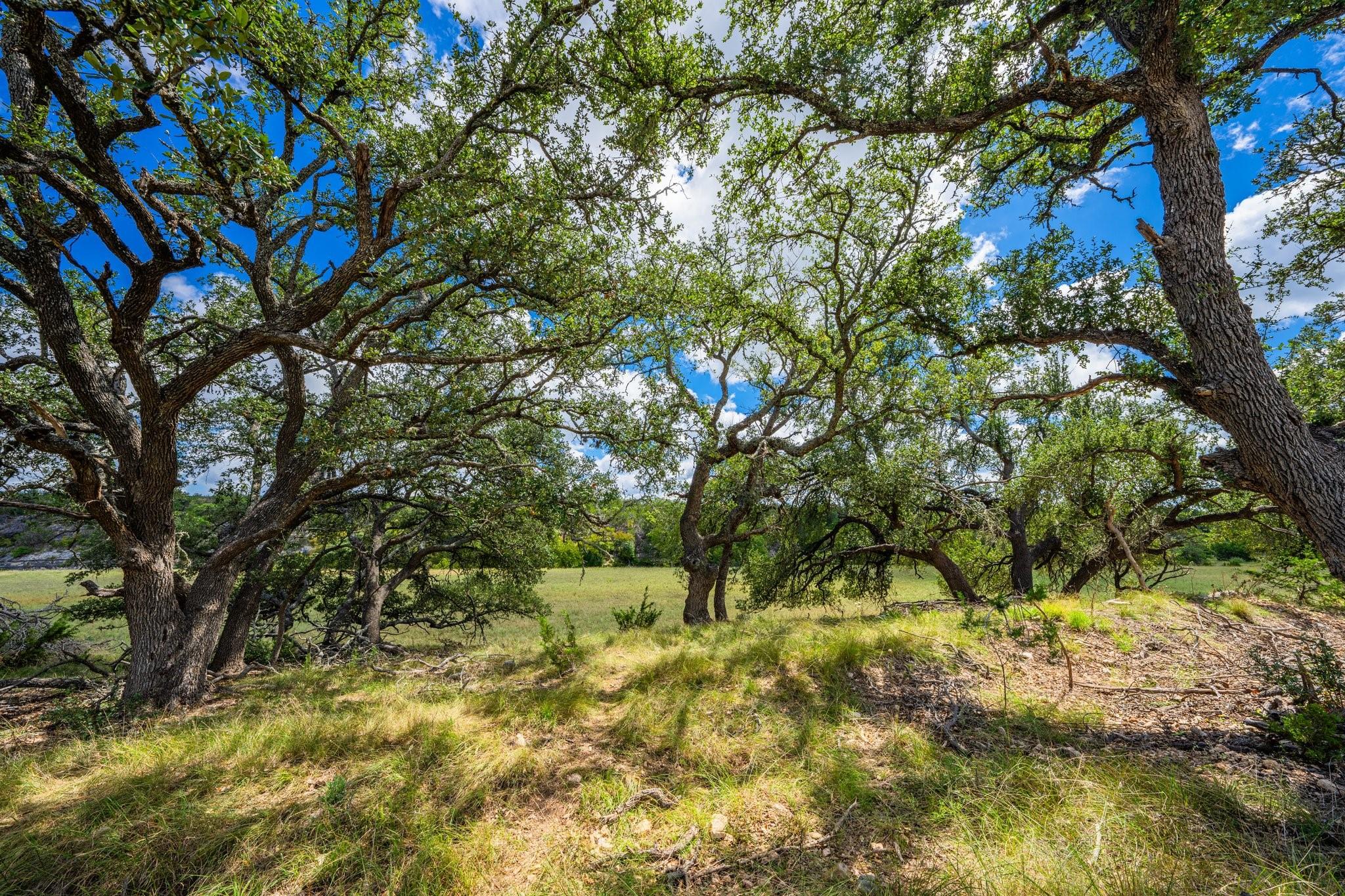 6477 S 783 Rnch, Harper, TX 78631