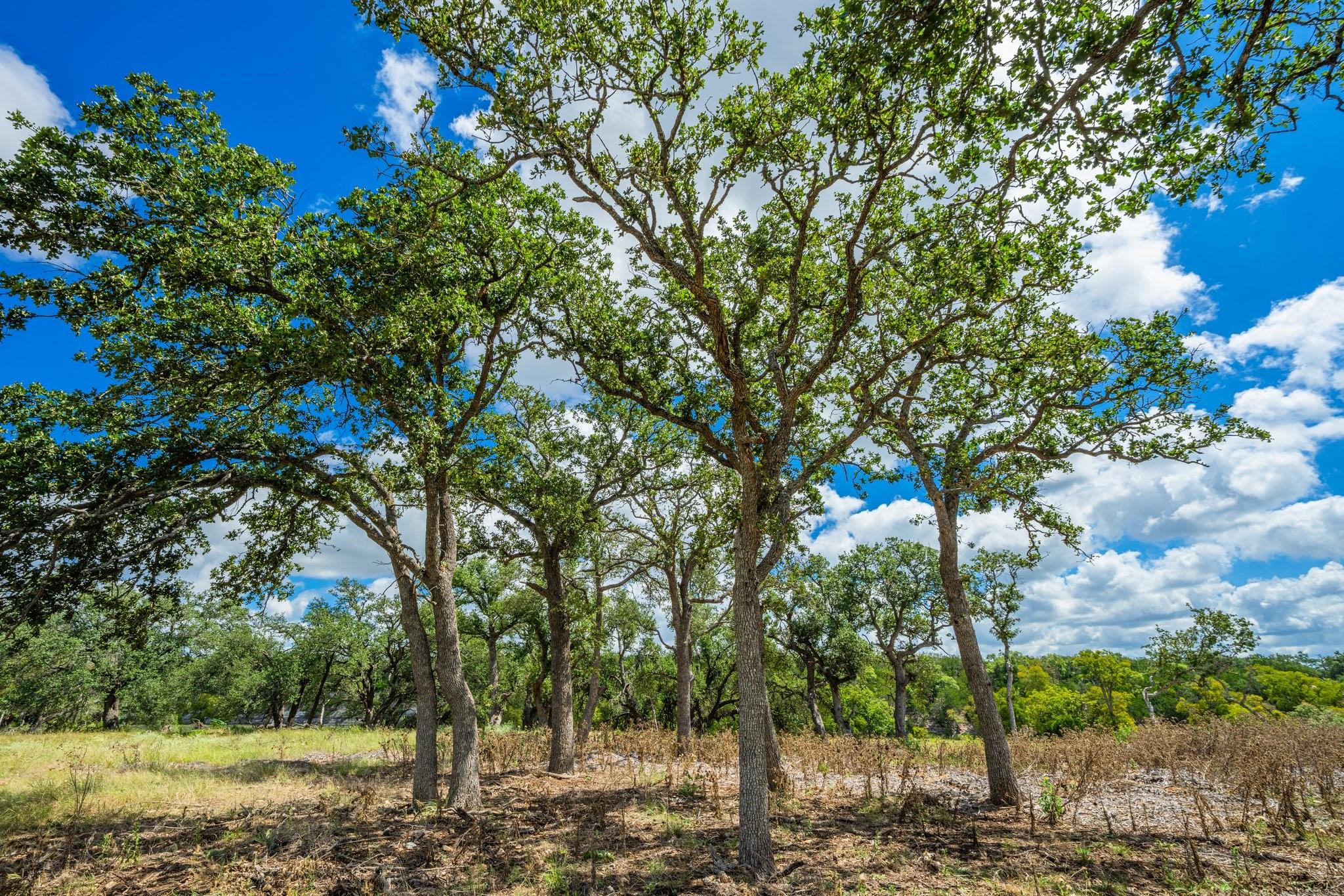 6477 S 783 Rnch, Harper, TX 78631