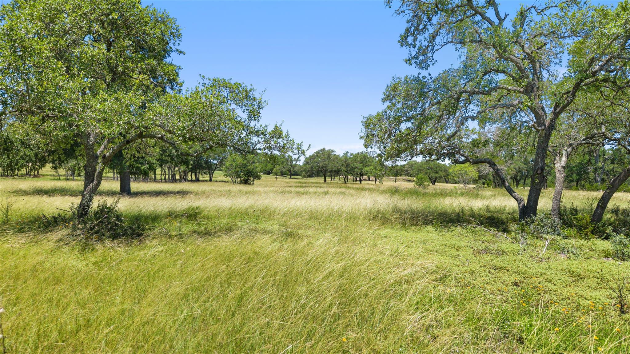 TBD 2 Lindeman Ln, Blanco, TX 78606