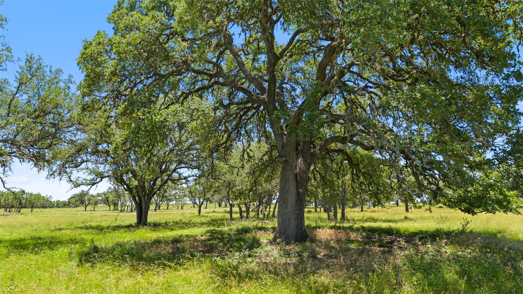 TBD 2 Lindeman Ln, Blanco, TX 78606