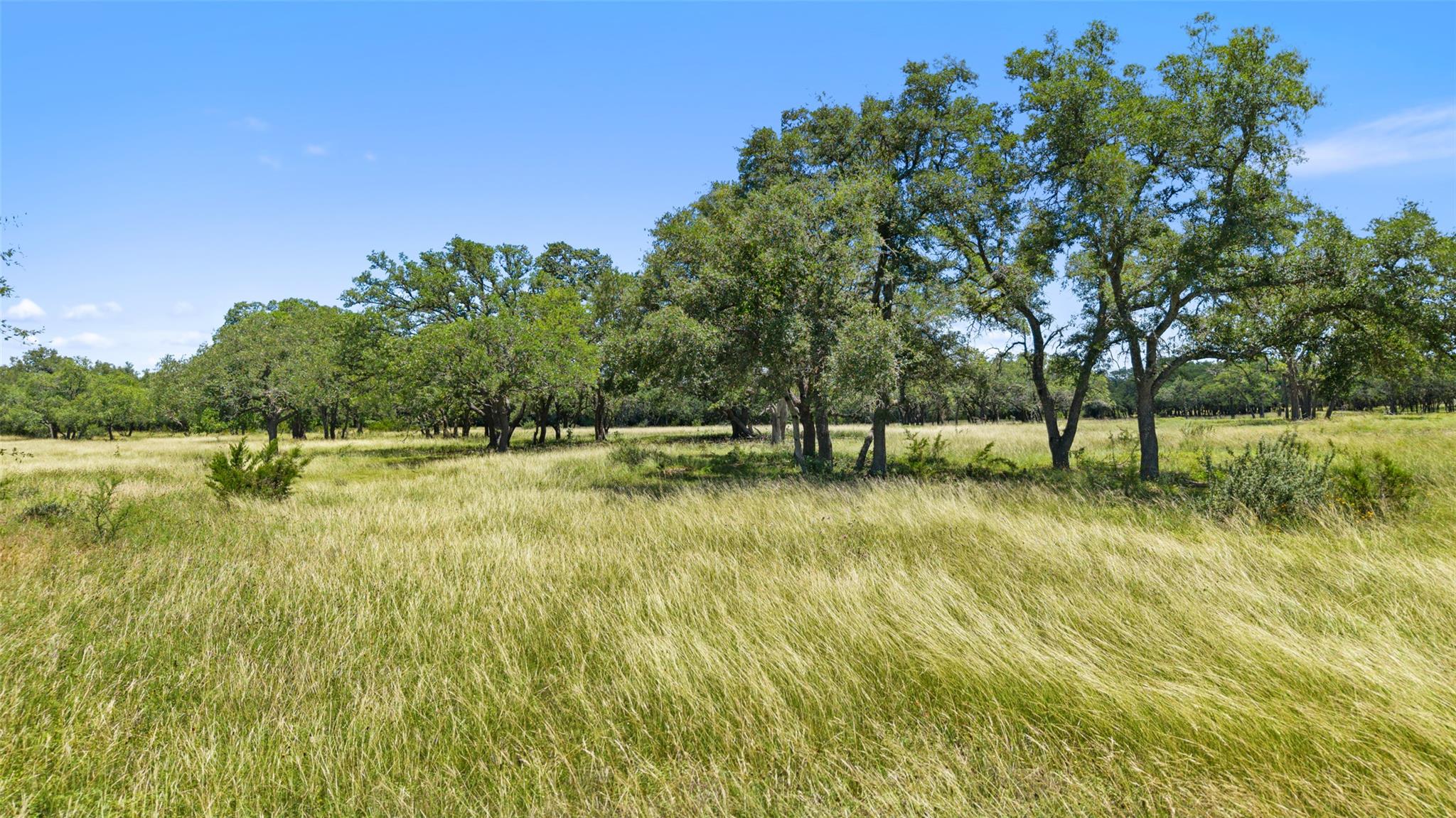 TBD 2 Lindeman Ln, Blanco, TX 78606
