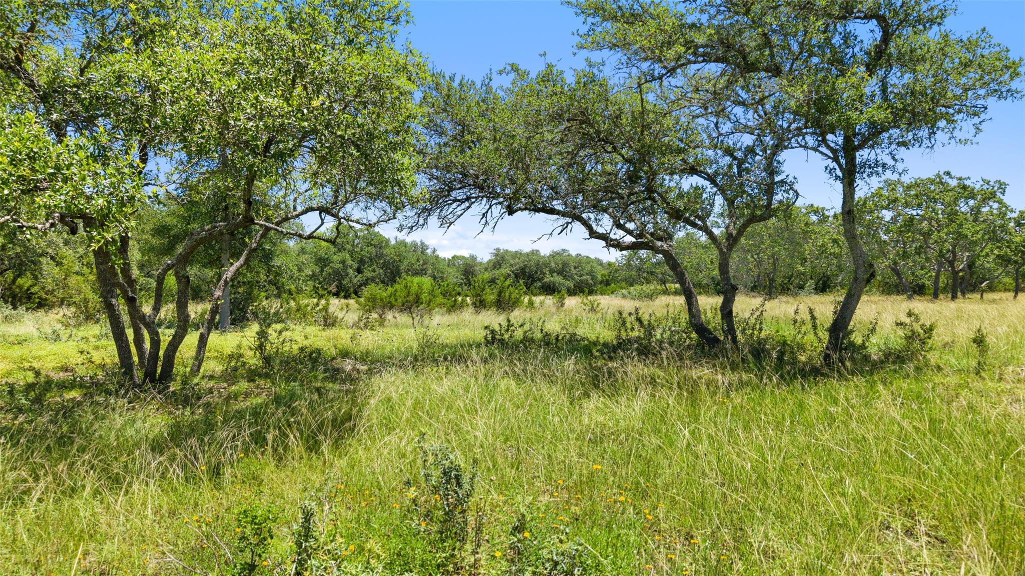 TBD 2 Lindeman Ln, Blanco, TX 78606