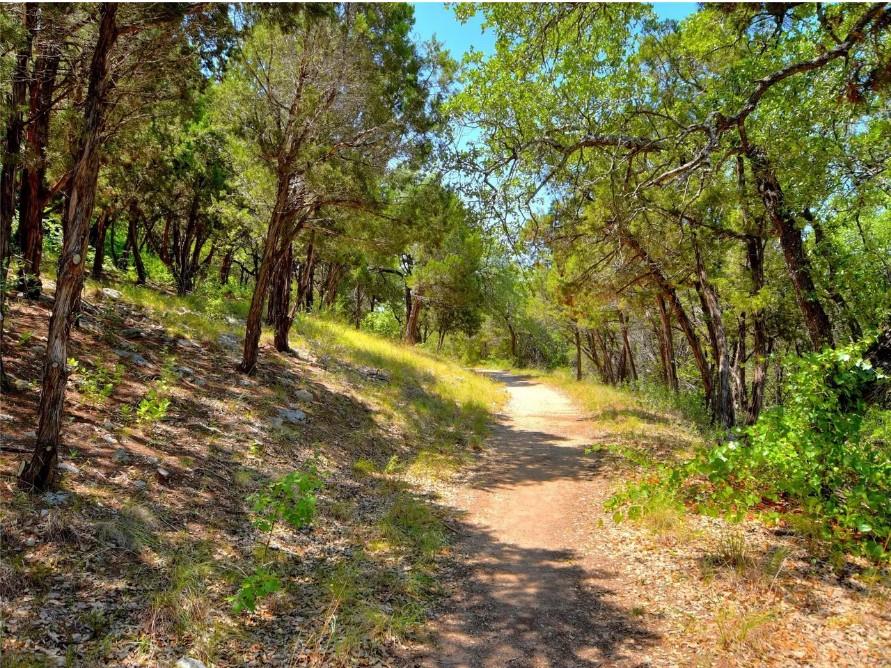 2630 Cascade Falls Dr, Austin, TX 78738