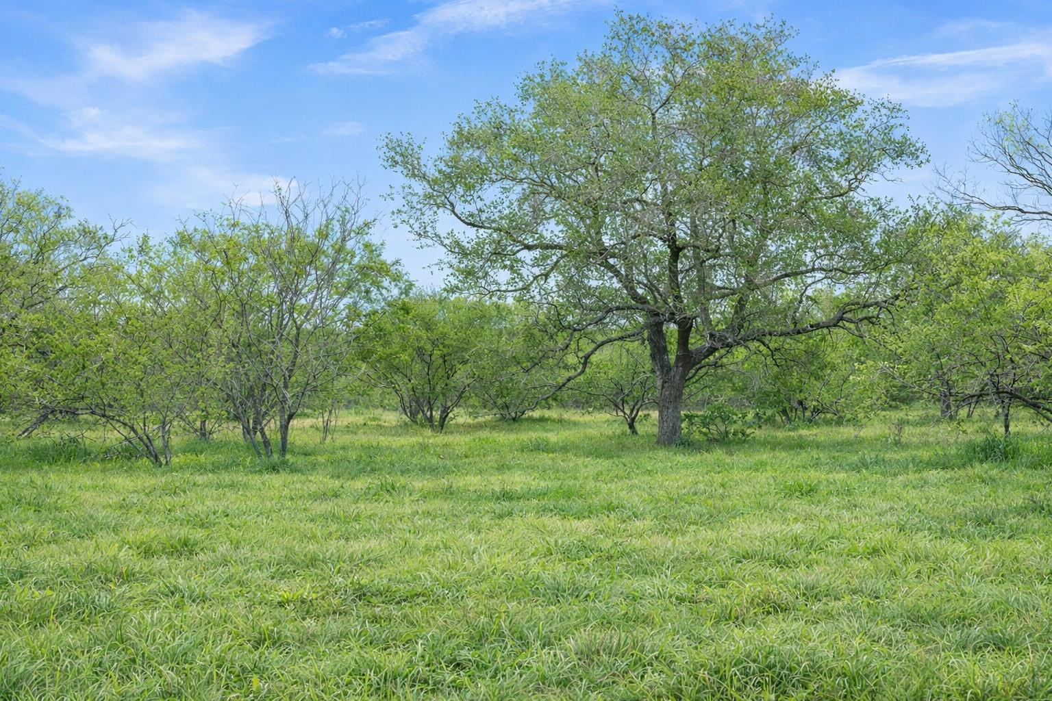 6 CR 171, Nixon, TX 78140