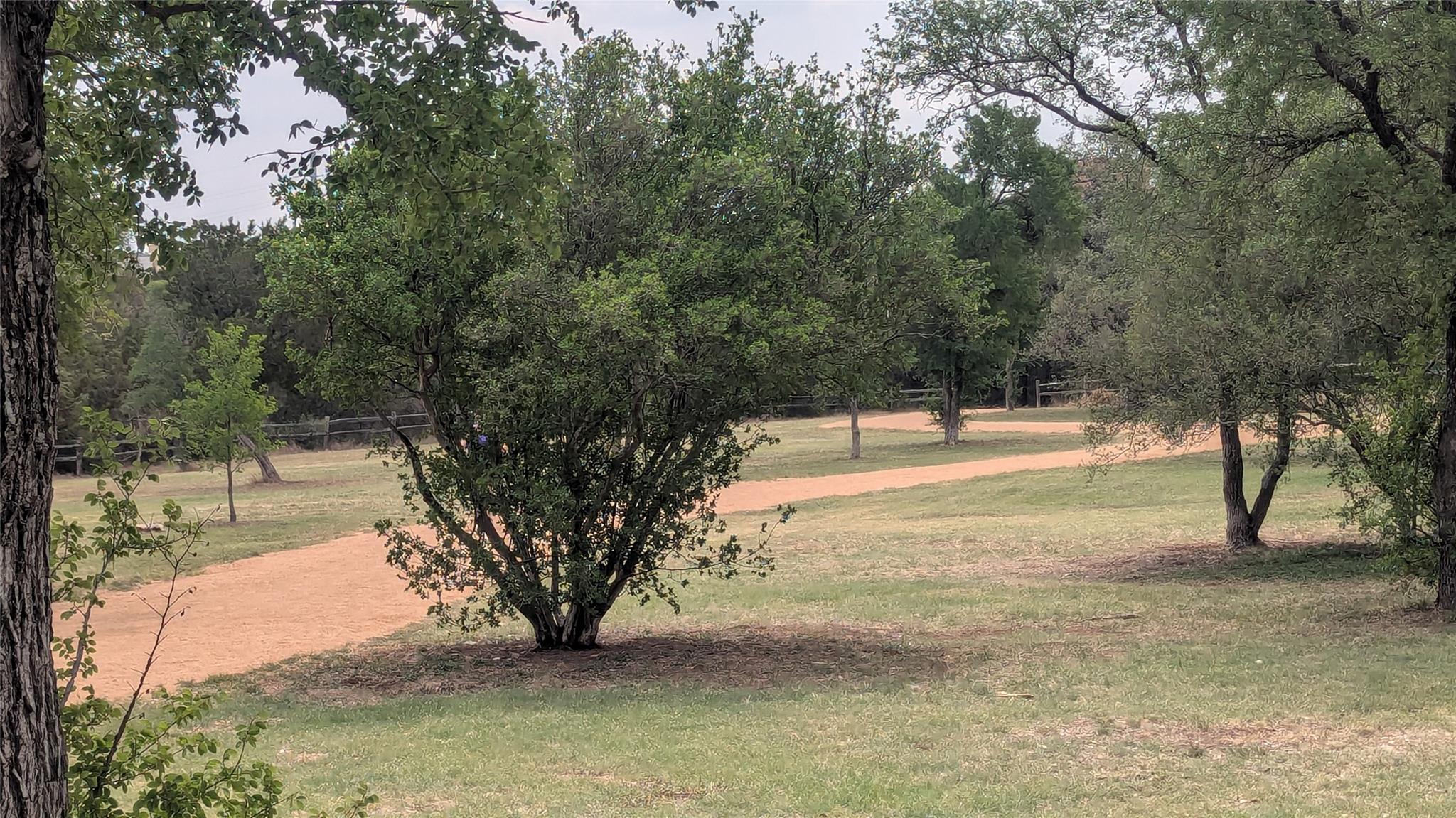 12309 Danny Dr, Austin, TX 78759