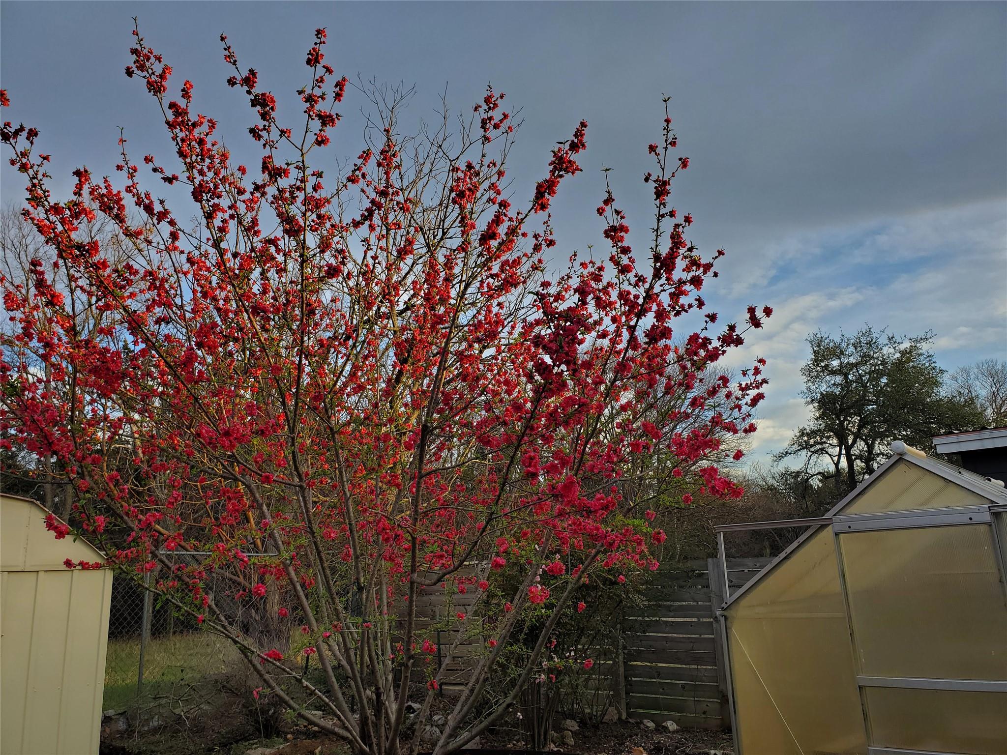 12309 Danny Dr, Austin, TX 78759