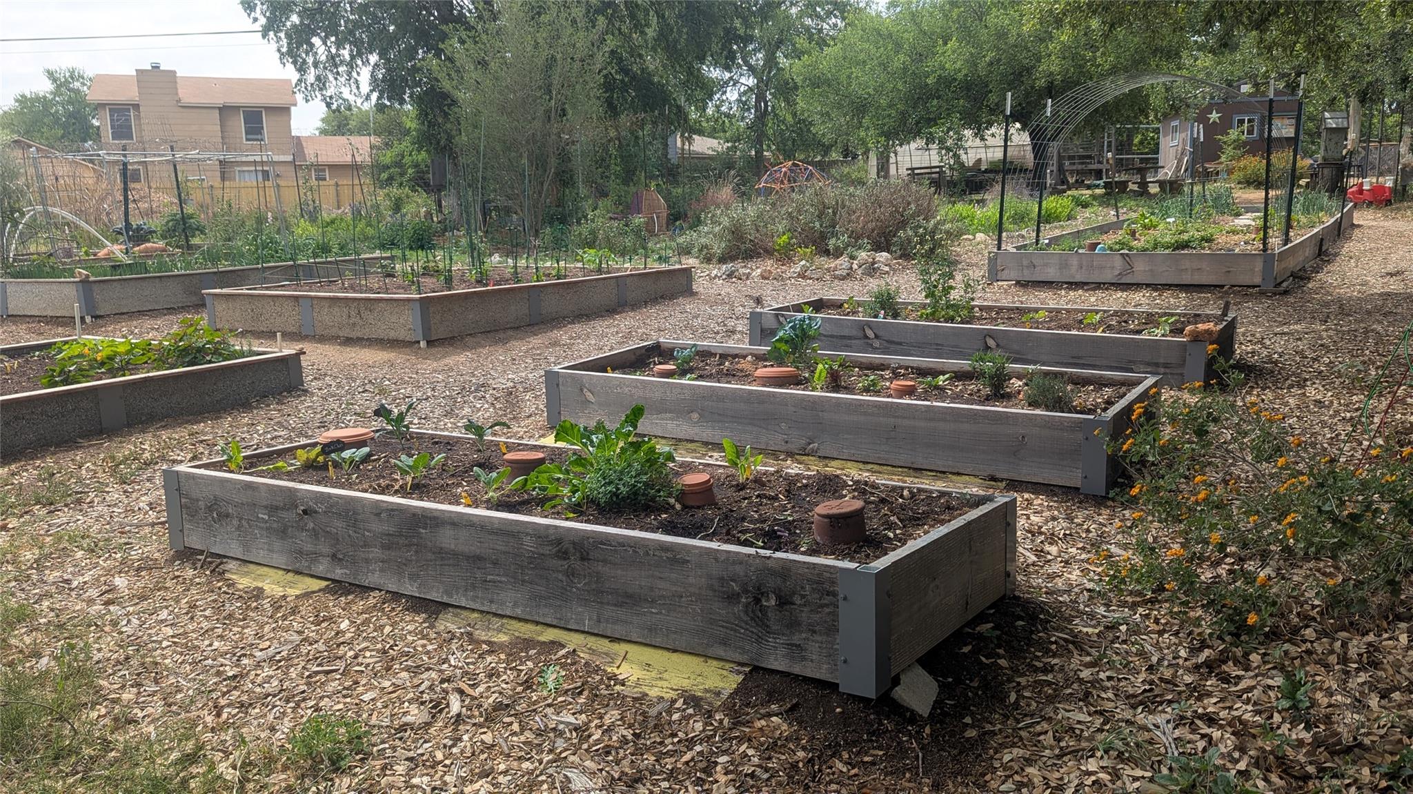 12309 Danny Dr, Austin, TX 78759