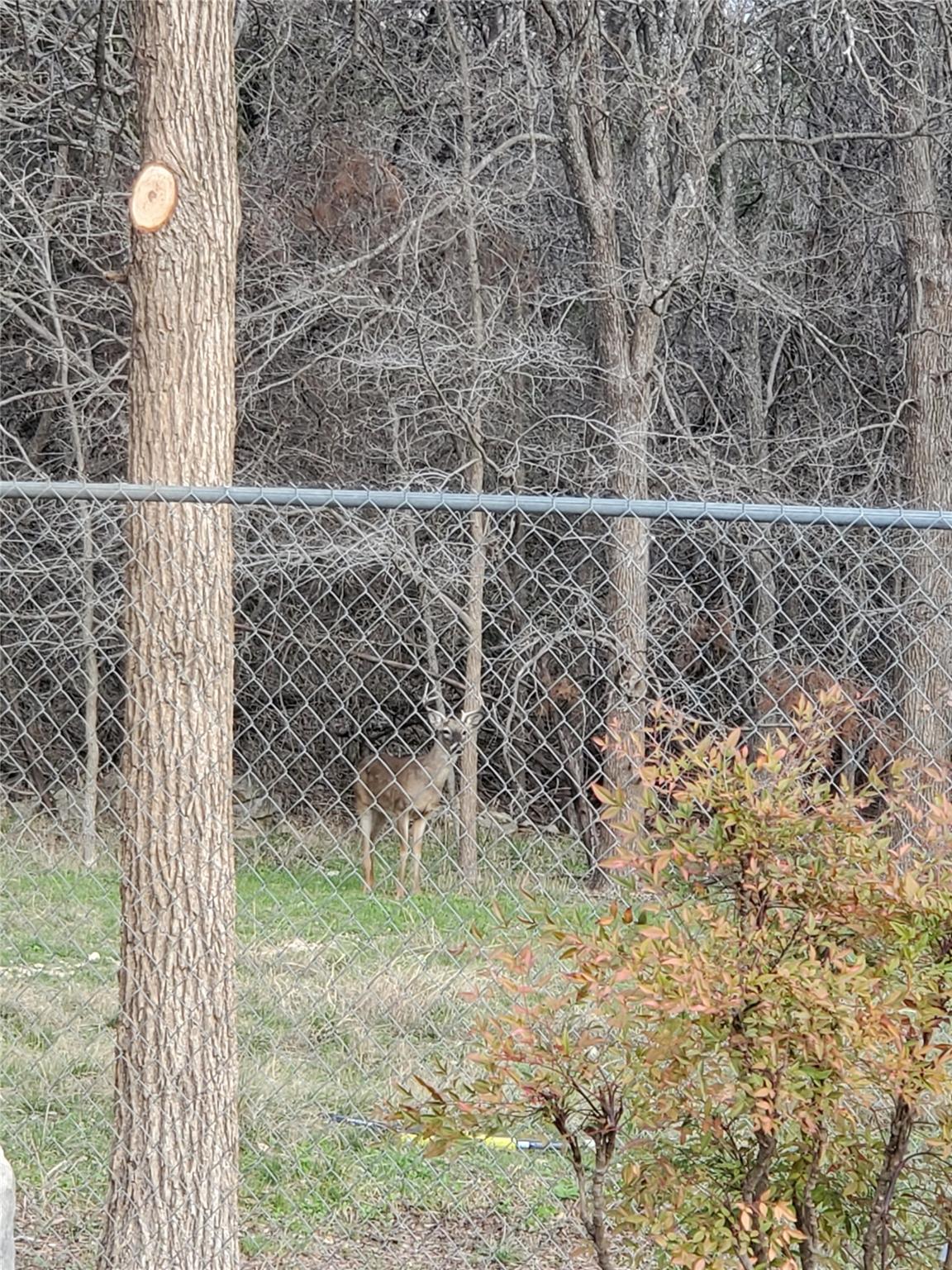 12309 Danny Dr, Austin, TX 78759