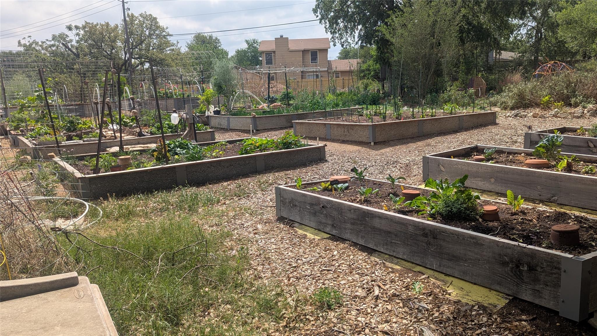 12309 Danny Dr, Austin, TX 78759