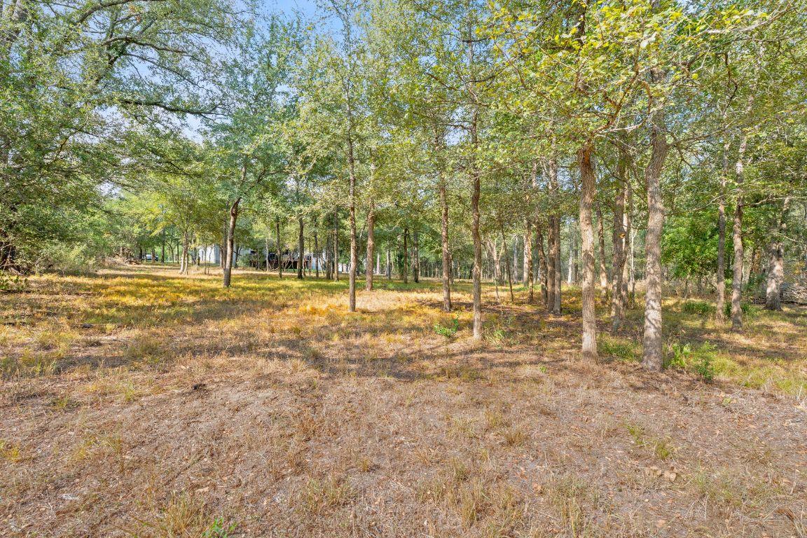 159 Raptor Beak Way, Cedar Creek, TX 78612