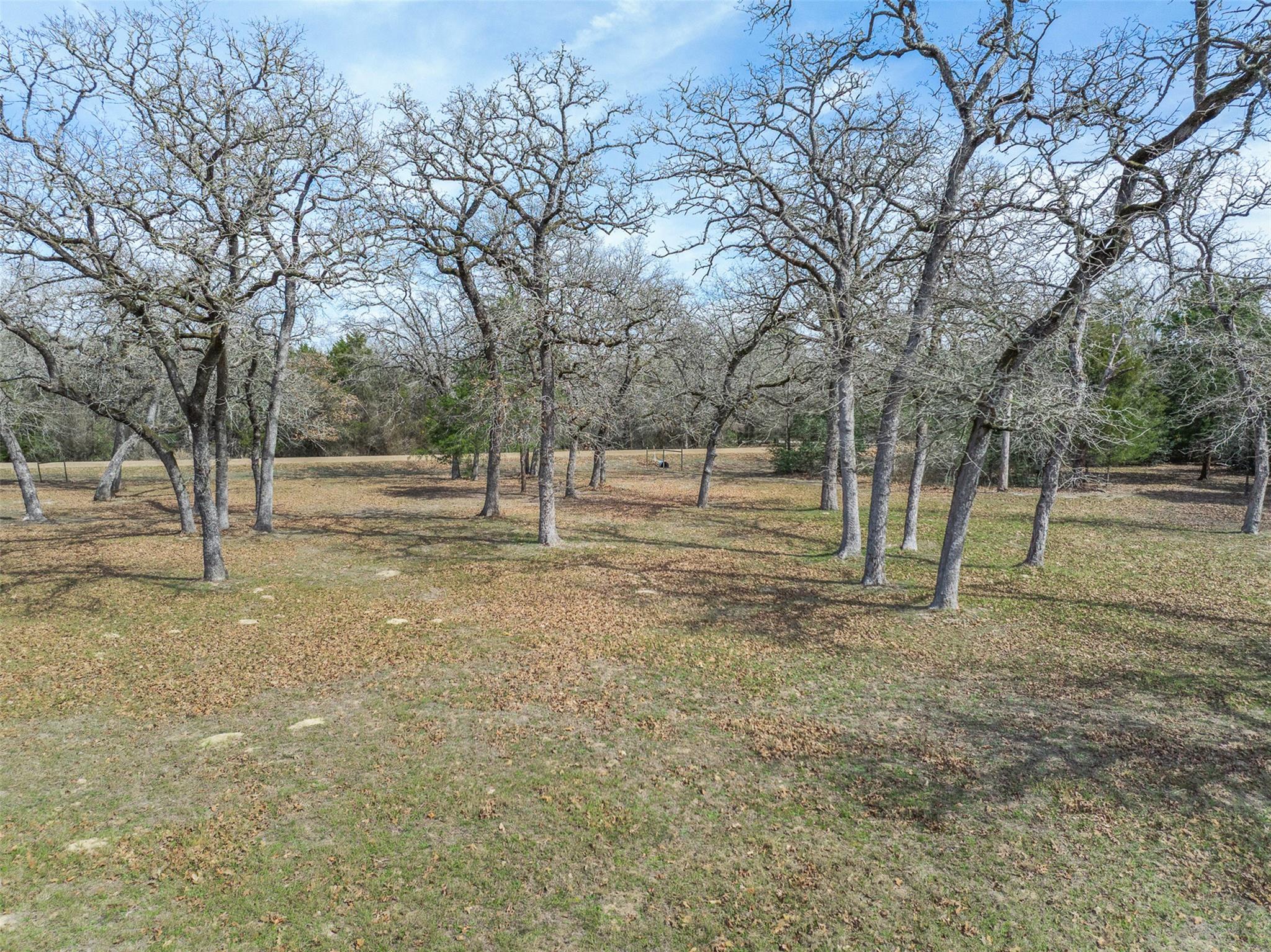 1196 Sherrill Ln, Lexington, TX 78947