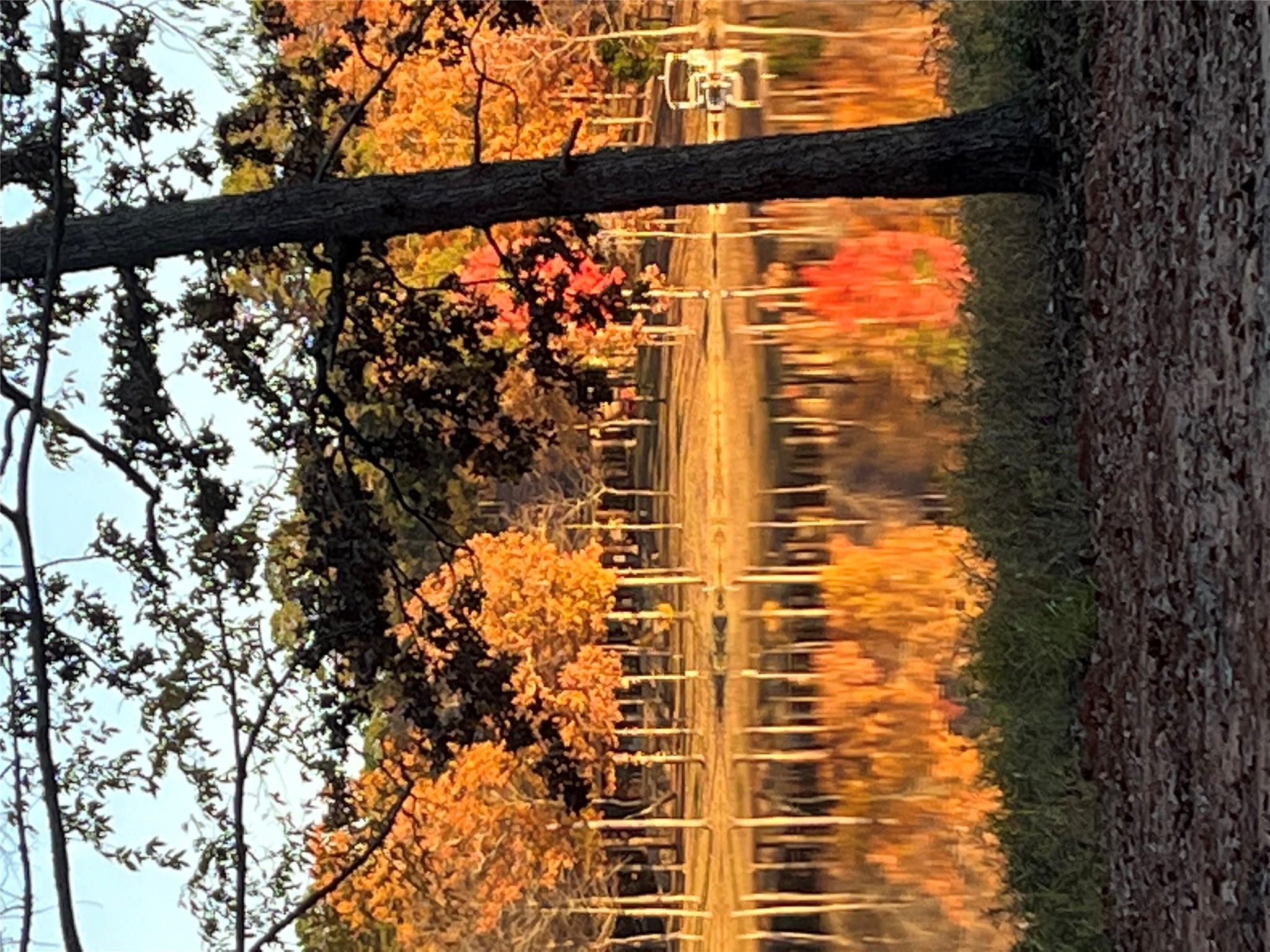 537 County Road 1596, Avinger, TX 75630