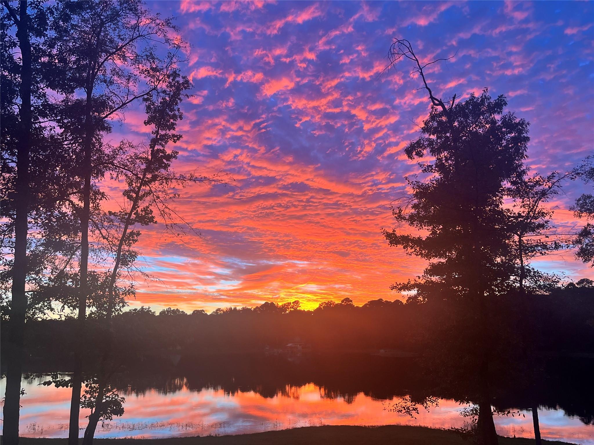 537 County Road 1596, Avinger, TX 75630