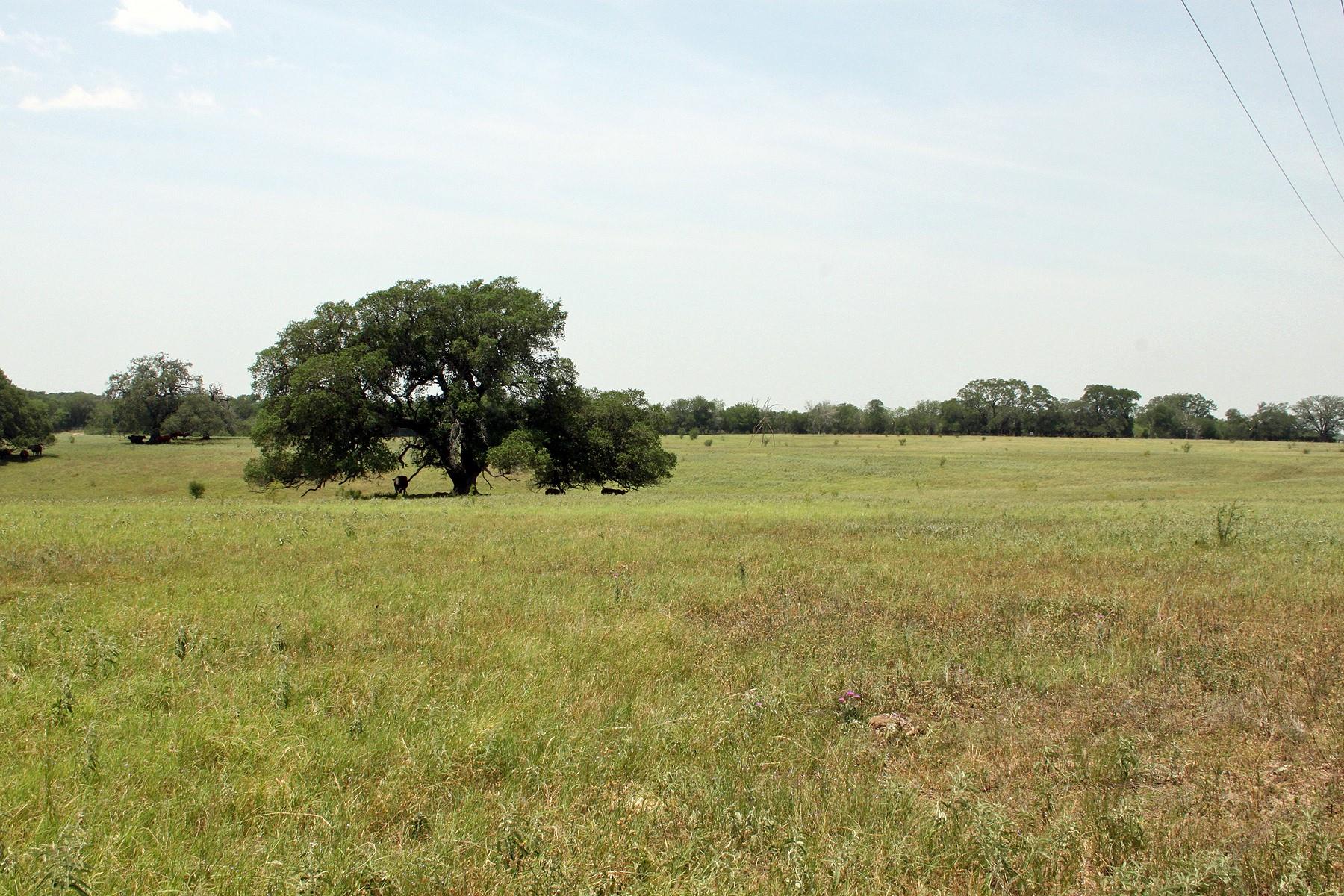 319 R C Ln, Lockhart, TX 78644