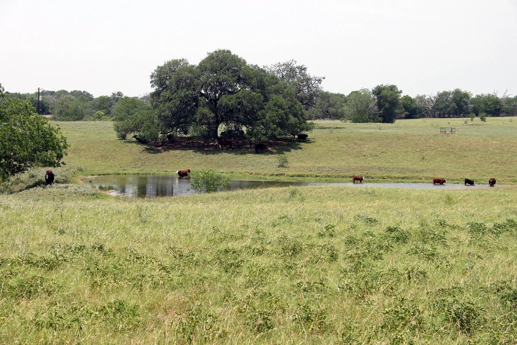 319 R C Ln, Lockhart, TX 78644