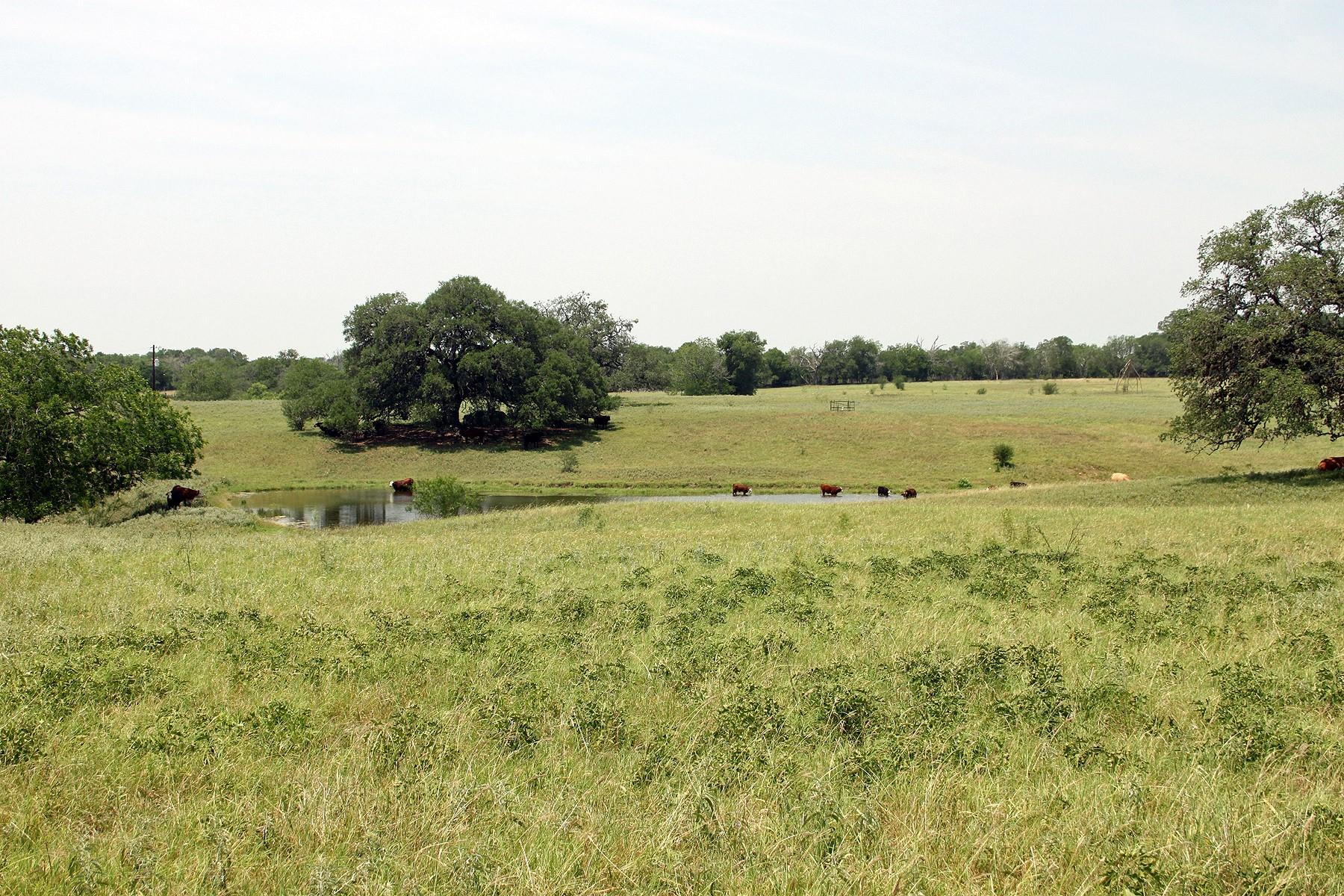 319 R C Ln, Lockhart, TX 78644