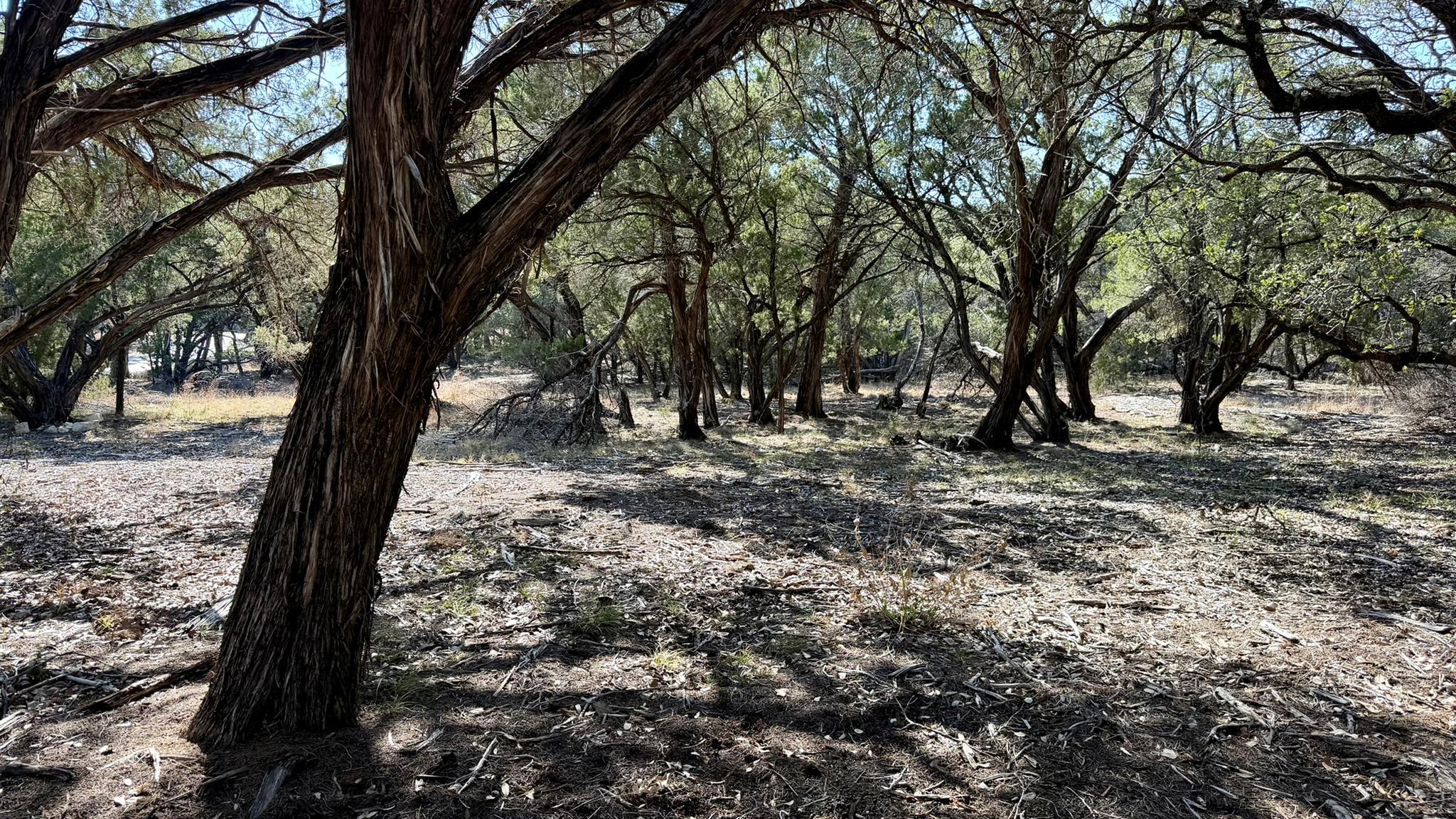 4513 Destination Way, Jonestown, TX 78645