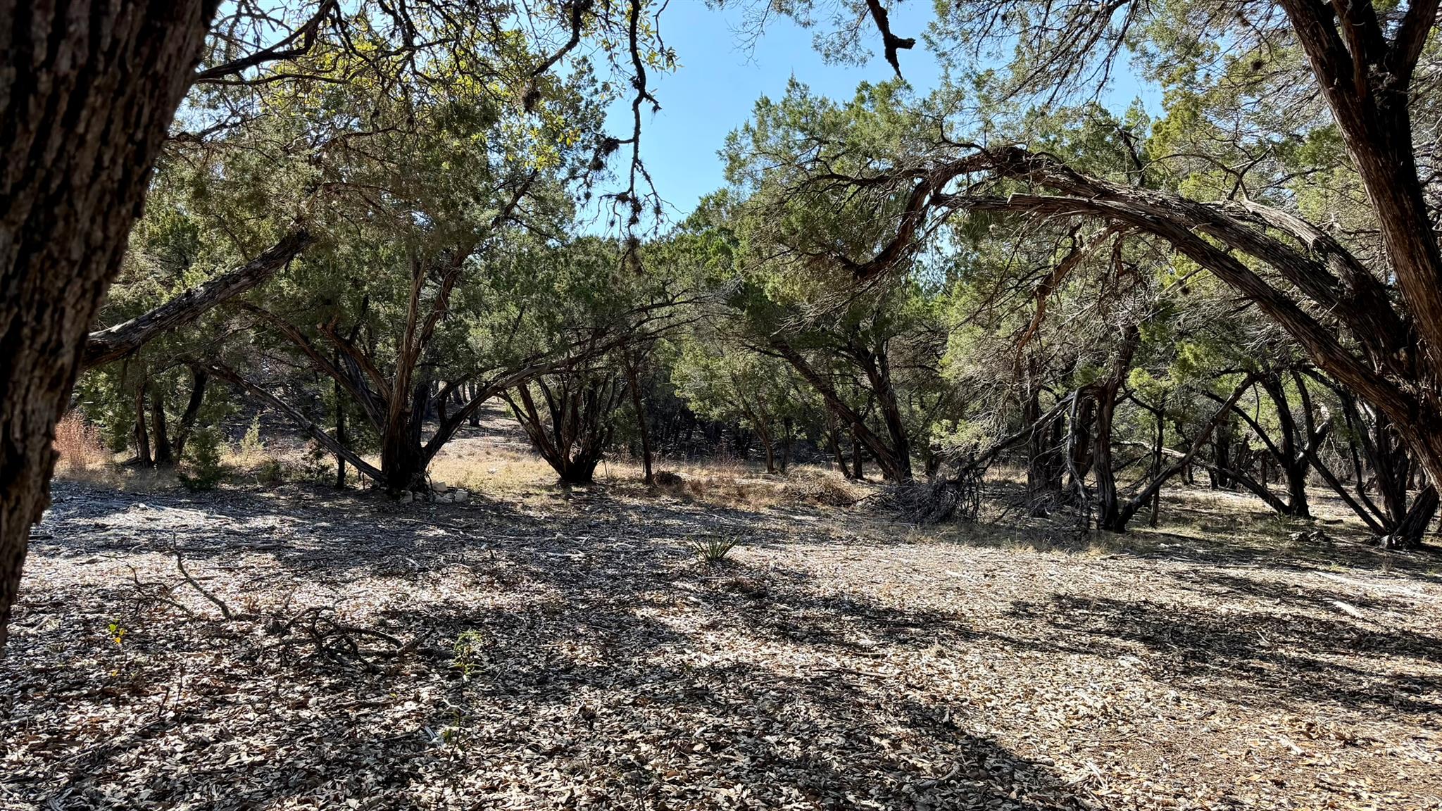 4513 Destination Way, Jonestown, TX 78645