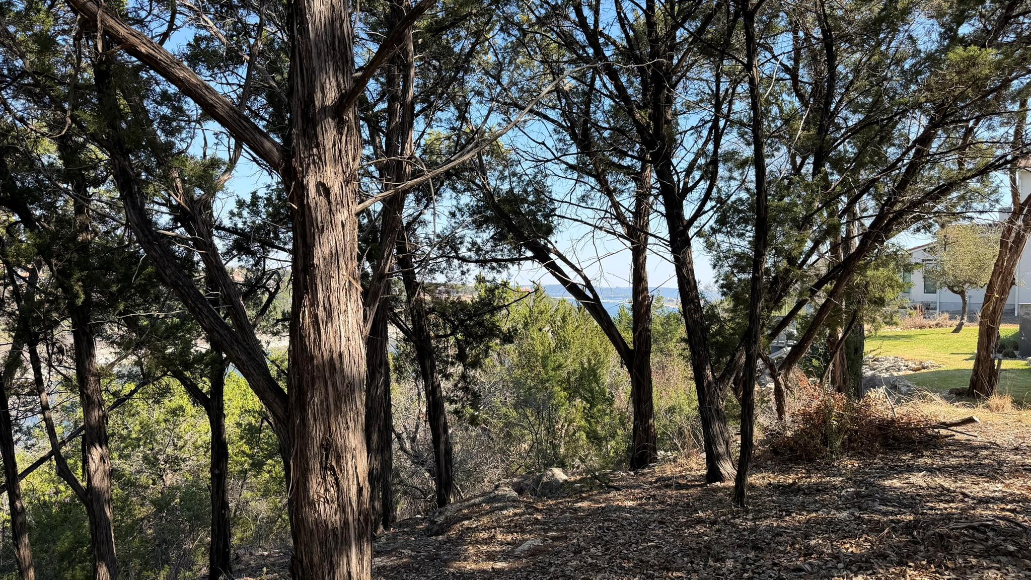 4513 Destination Way, Jonestown, TX 78645