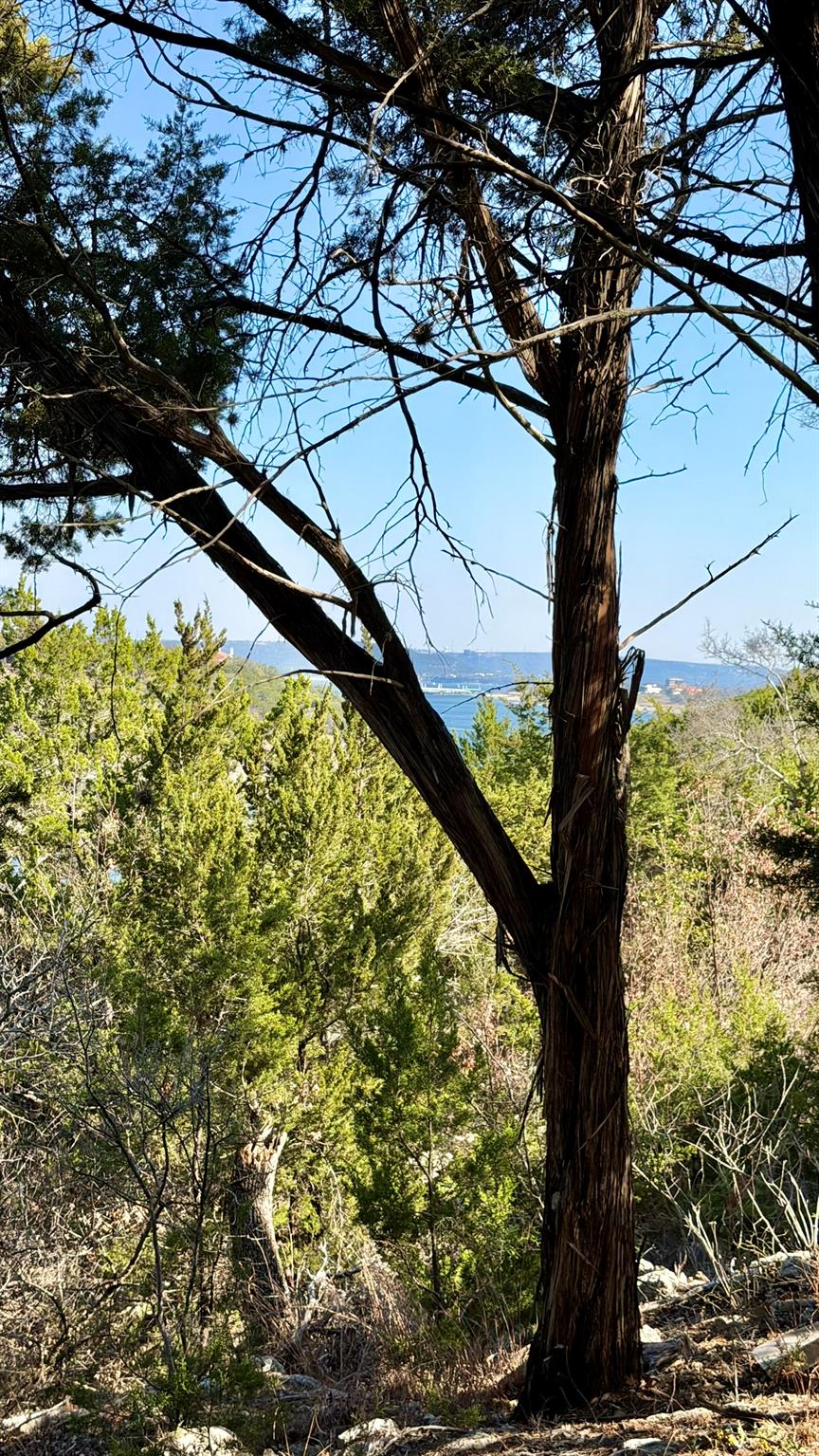 4513 Destination Way, Jonestown, TX 78645