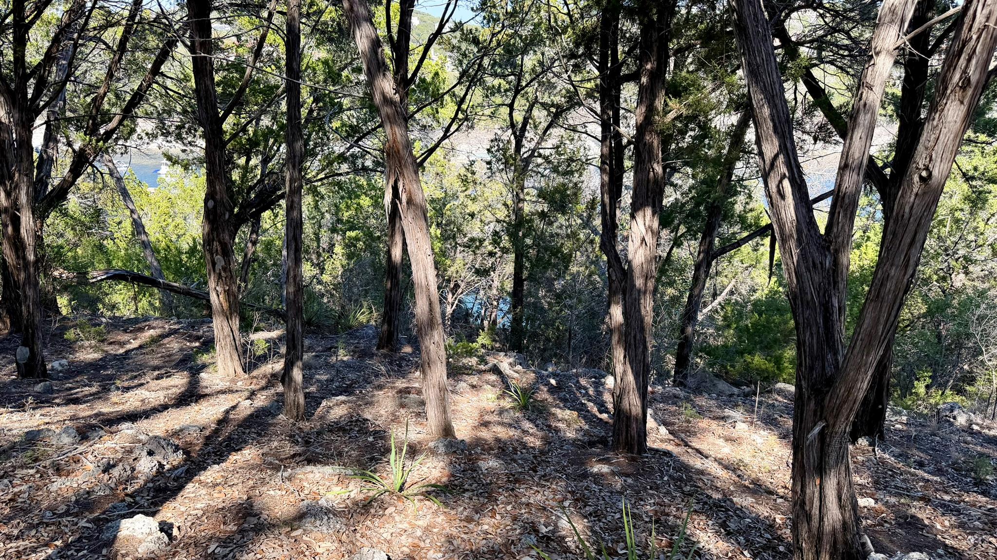 4513 Destination Way, Jonestown, TX 78645