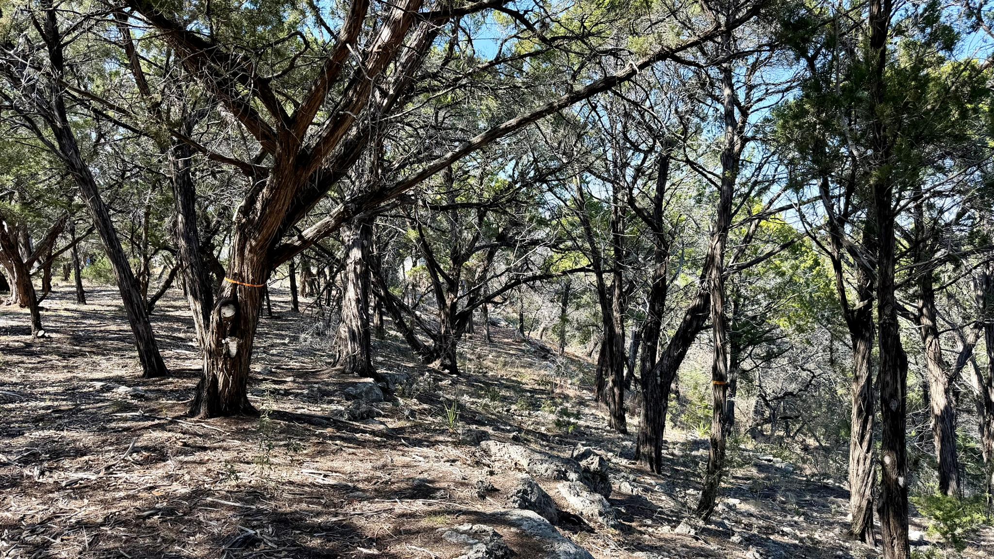 4513 Destination Way, Jonestown, TX 78645