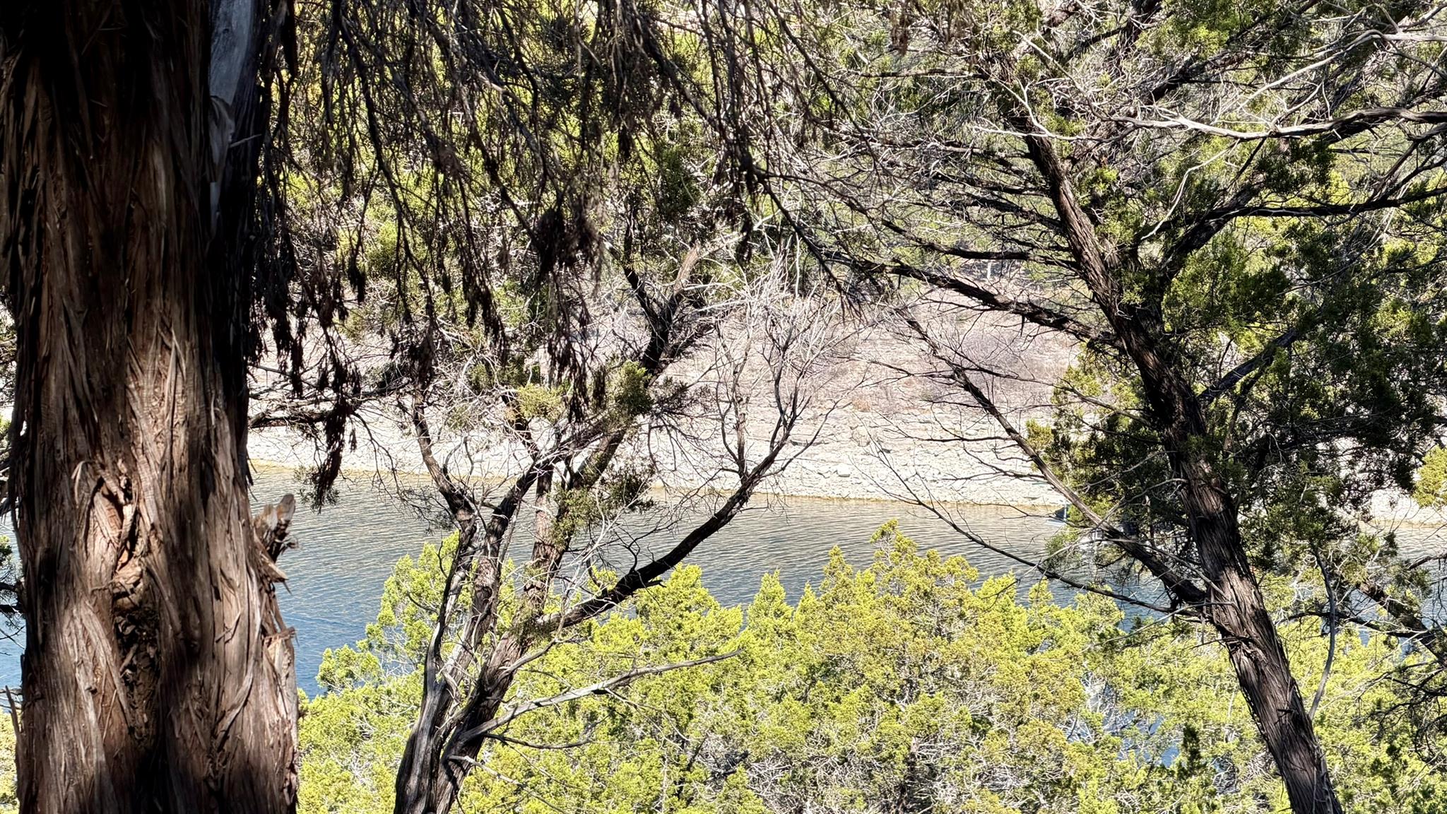 4513 Destination Way, Jonestown, TX 78645