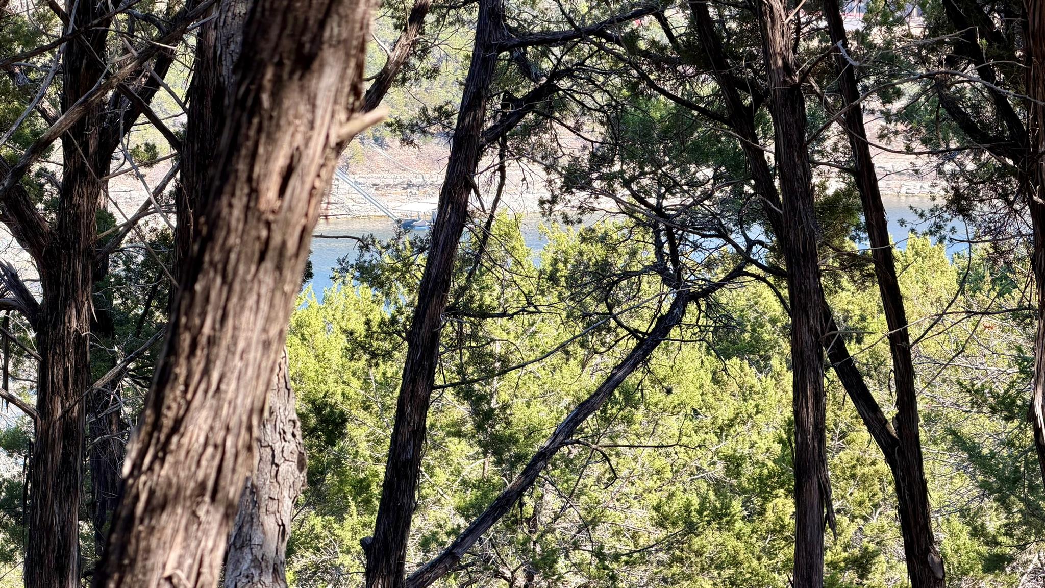 4513 Destination Way, Jonestown, TX 78645