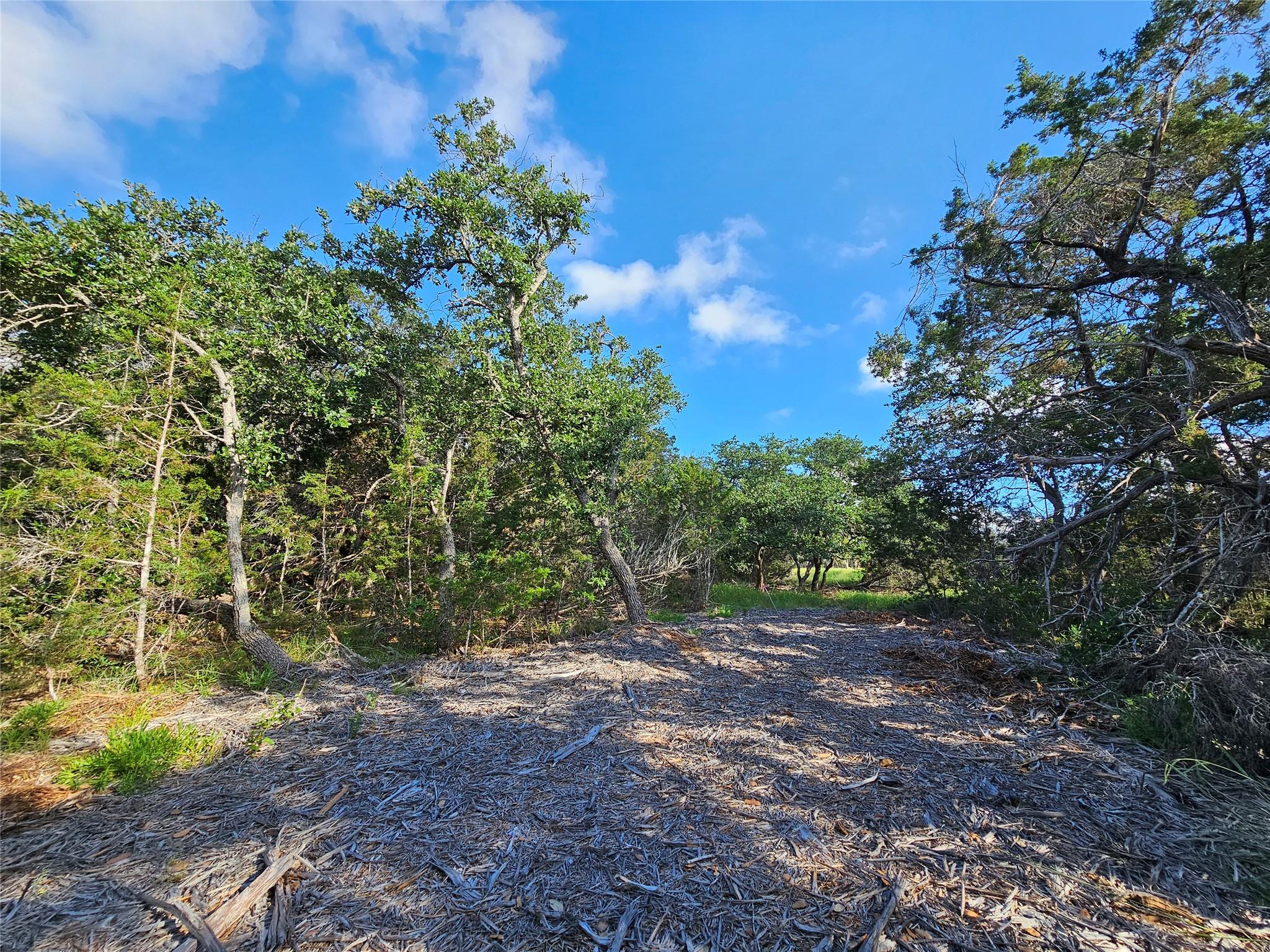 LOT 22 Riparian Elm Rd, Bertram, TX 78605