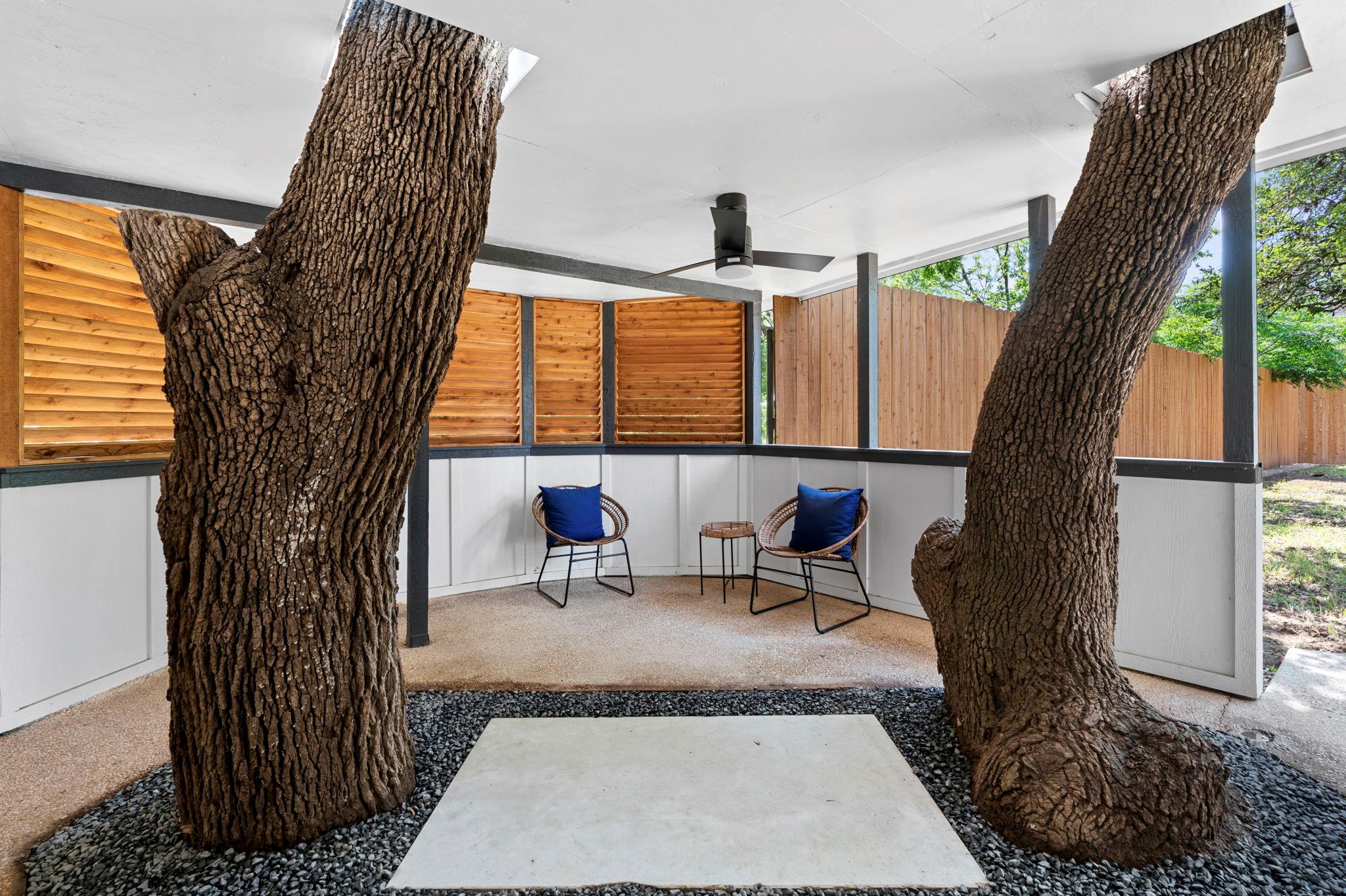 6501 Thomas Springs Rd, Austin, TX 78736