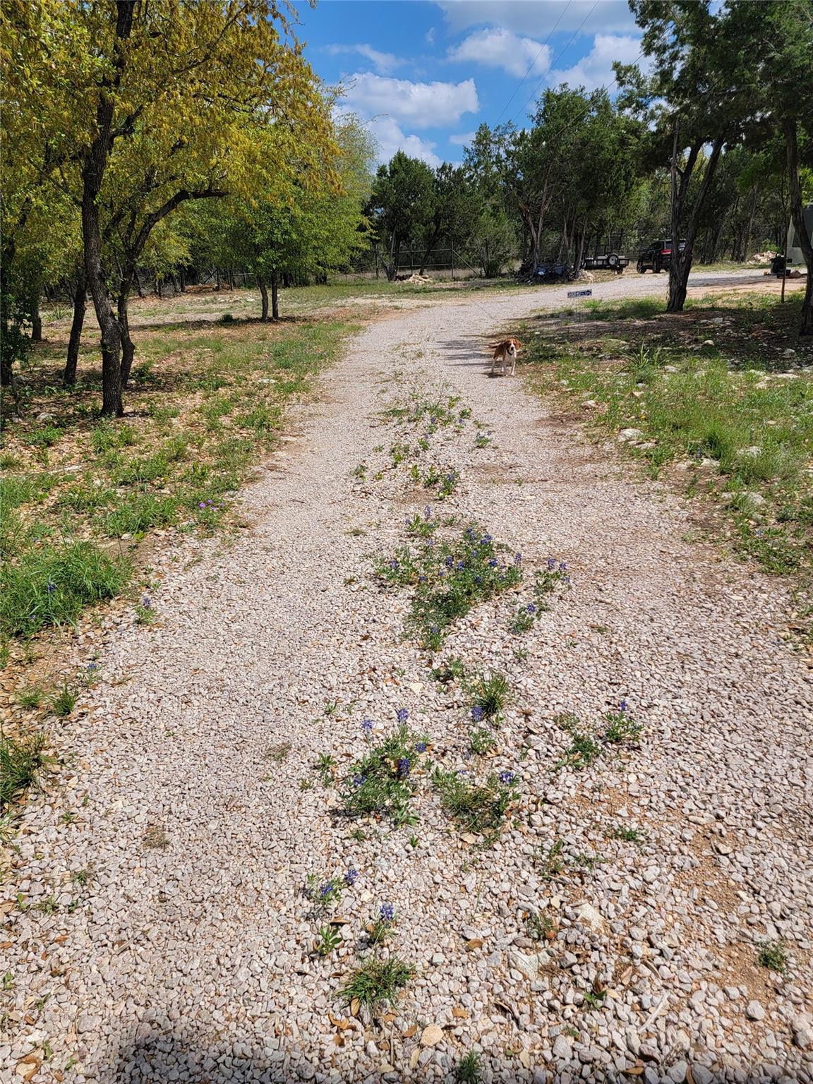 15901 Buddy Ave, Volente, TX 78641