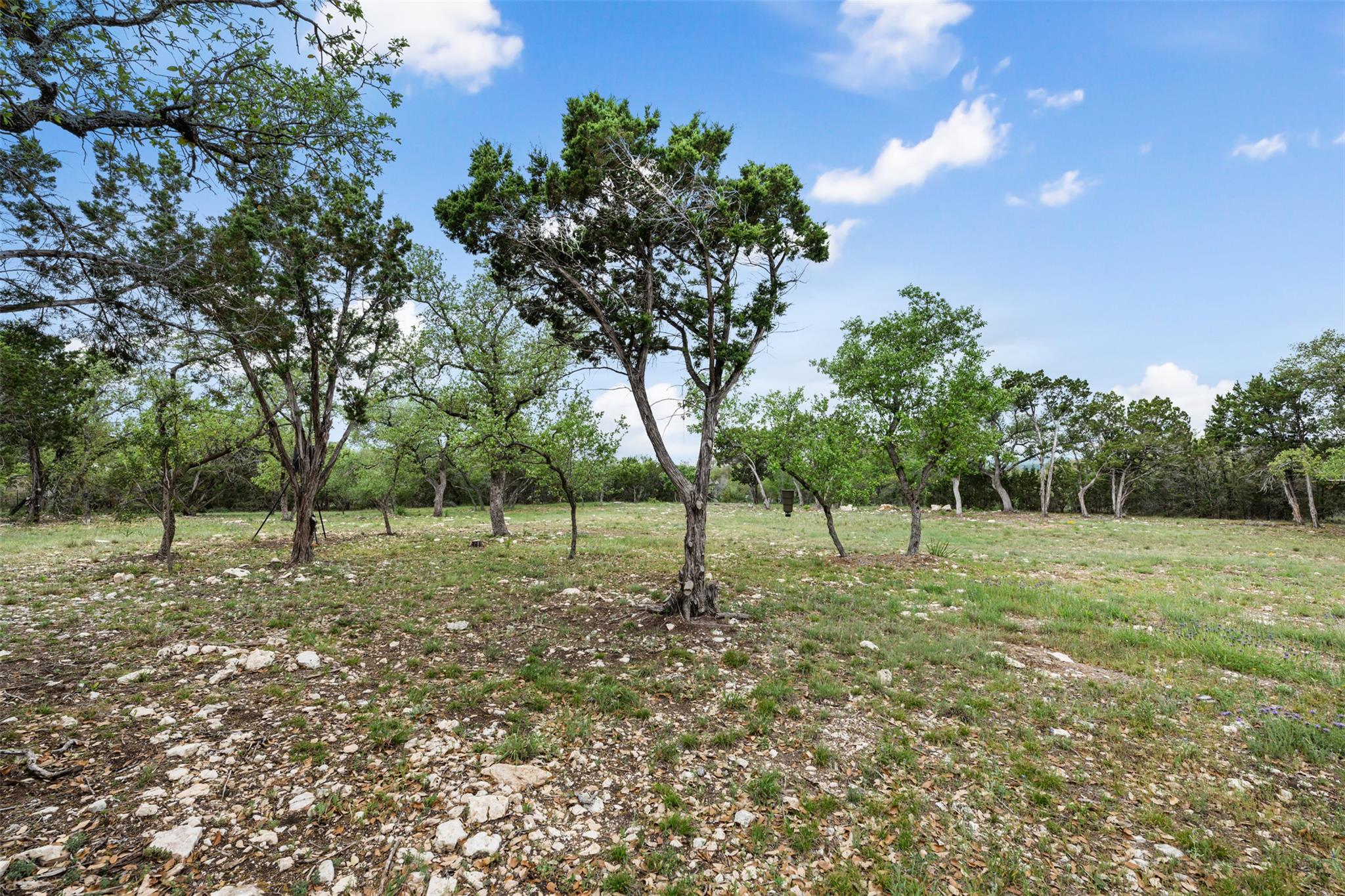 15901 Buddy Ave, Volente, TX 78641